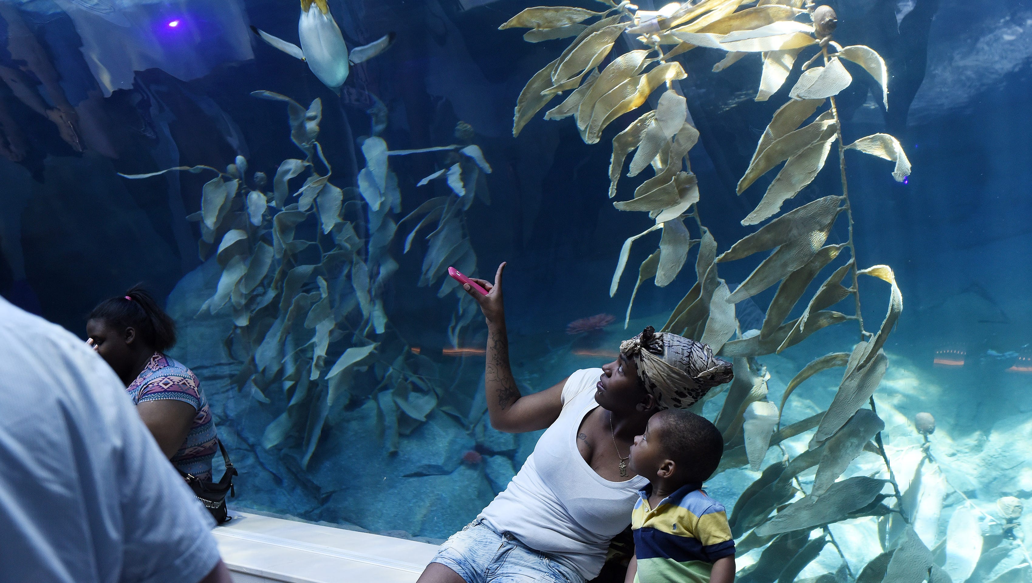 Marzetta Hoskin, 23, of Detroit, points at a penguin with her son, Christian Jones, 1, in the acrylic underwater tunnel.