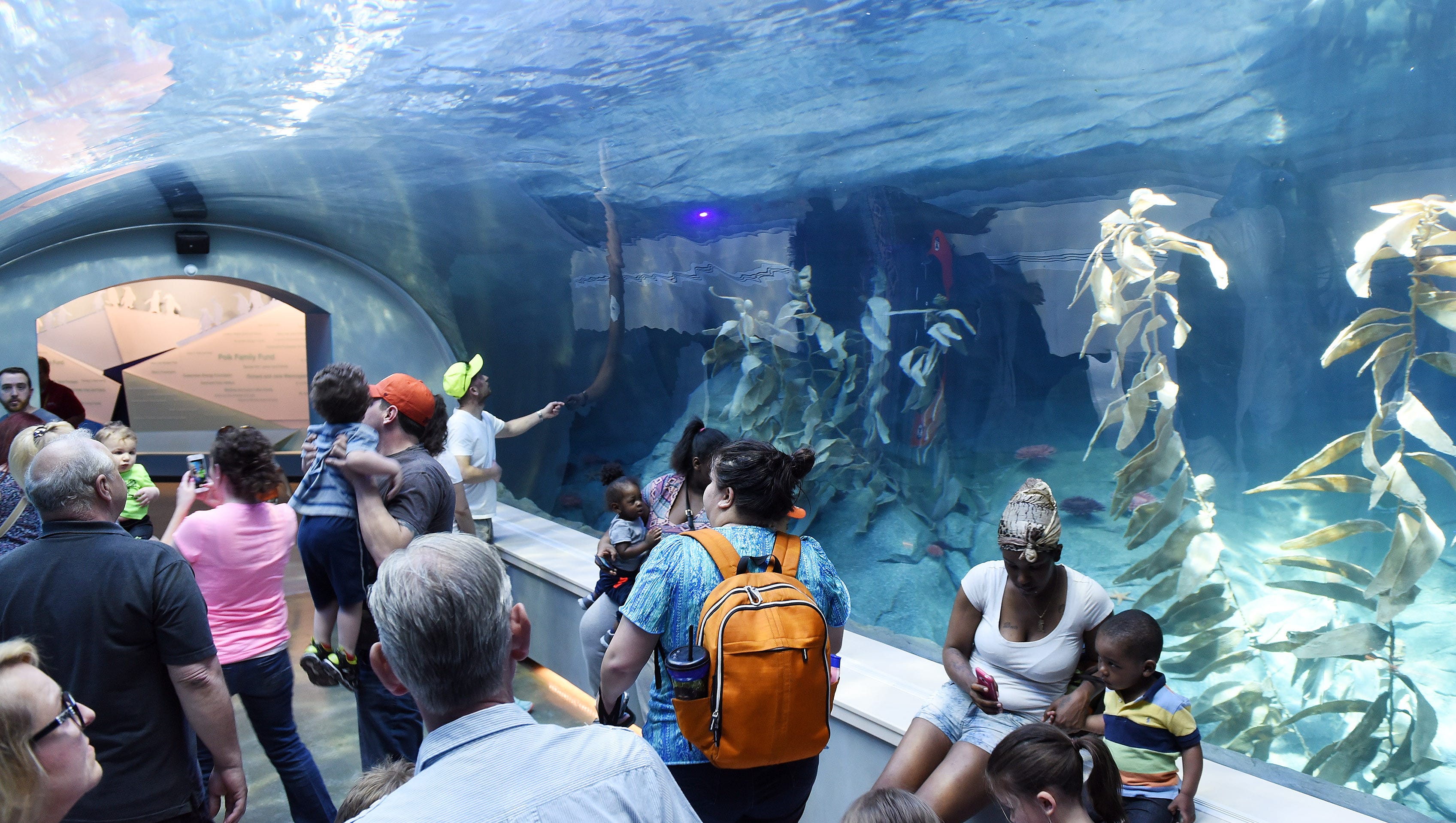 People walk through the acrylic underwater tunnel at the Polk Penguin Conservation Center.