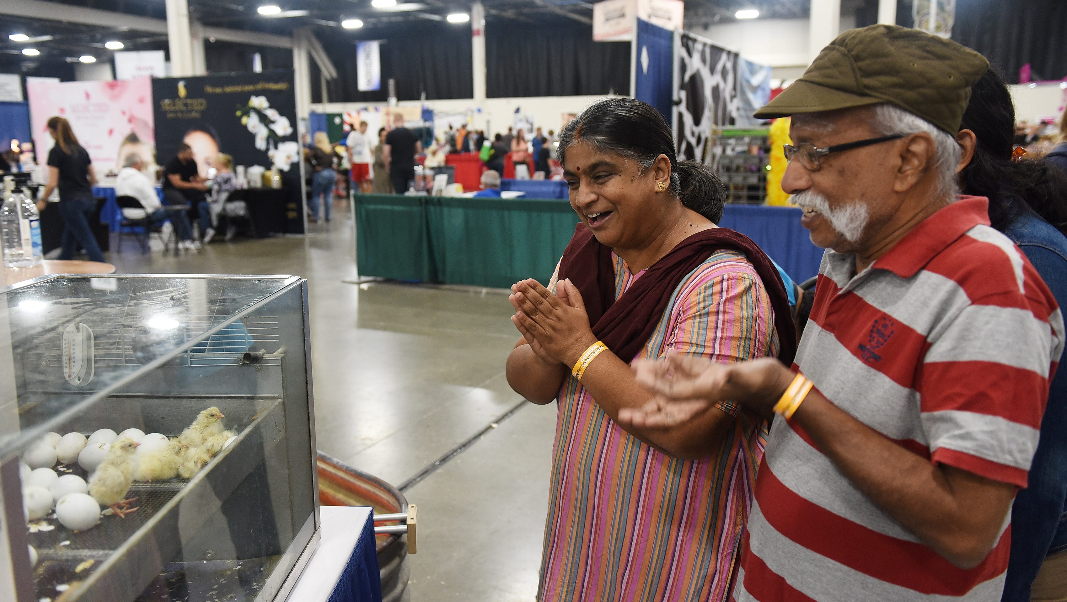 Jayanthi Shanker and her husband, Shanker Balaram of Farmington Hills react with the newly-hatched chicks at the Beginning of Life display.