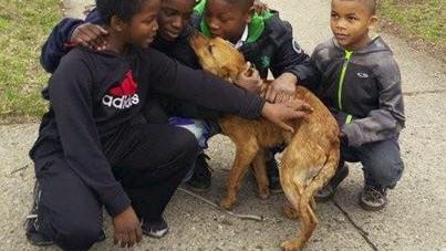 The boys tended to the golden-brown canine on their own, then turned it over to the nonprofit Detroit Pit Crew dog rescue.