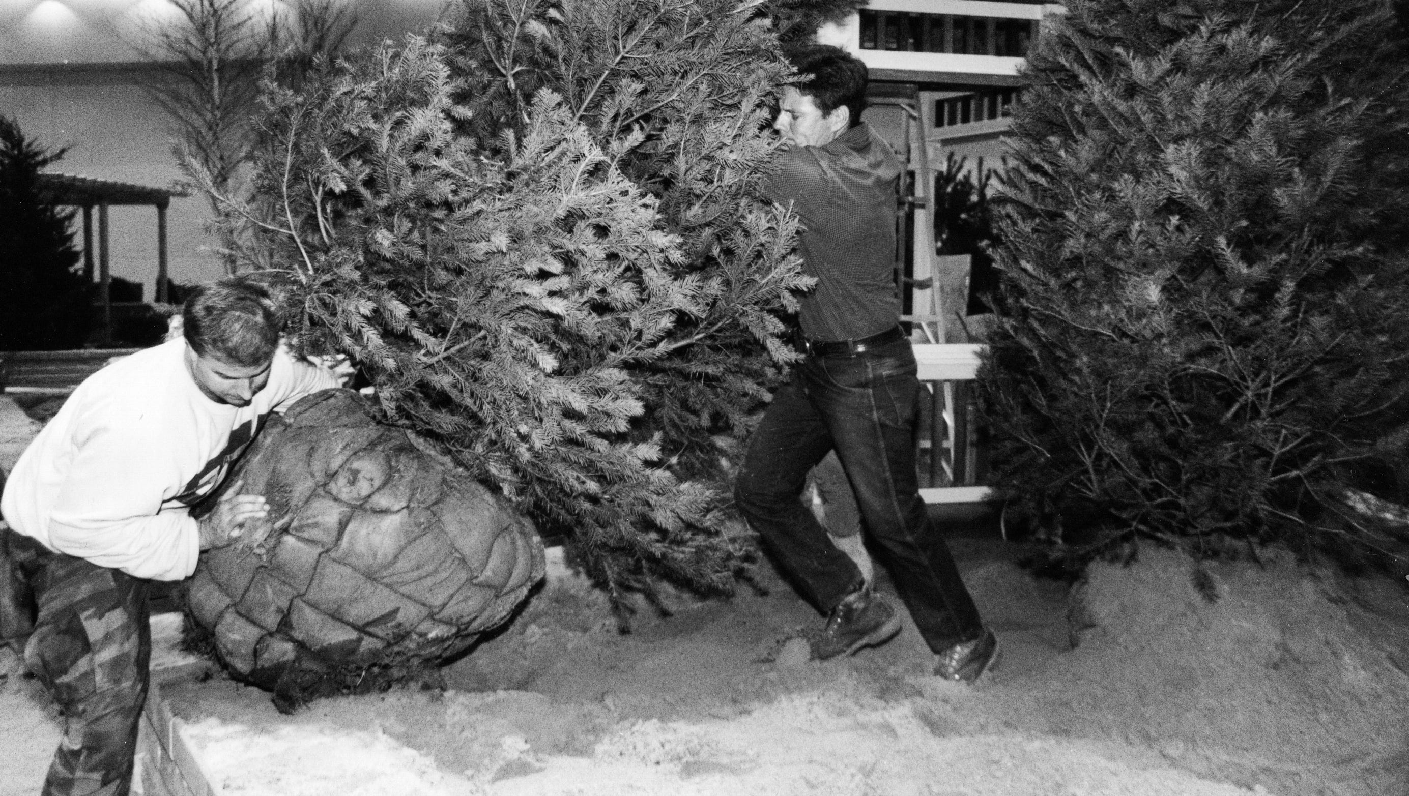 Workers move trees into place at the Detroit Home Flower, Furniture and Garden Show on March 20, 1991.