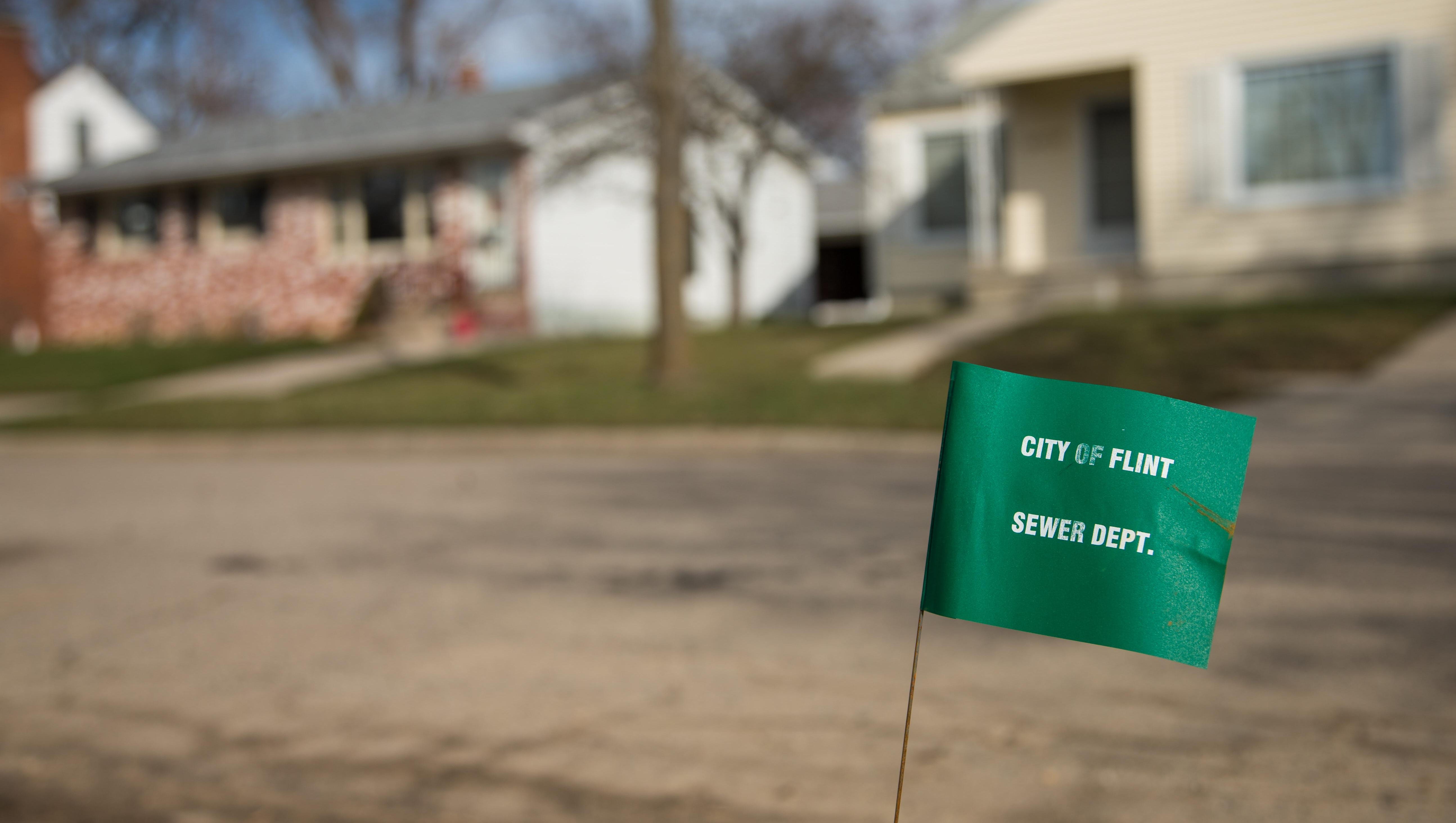 A City of Flint Sewer Dept. marker flag waves in the wind on a block where lead water lines have started to be replaced on March 17, 2016 in Flint, Michigan.