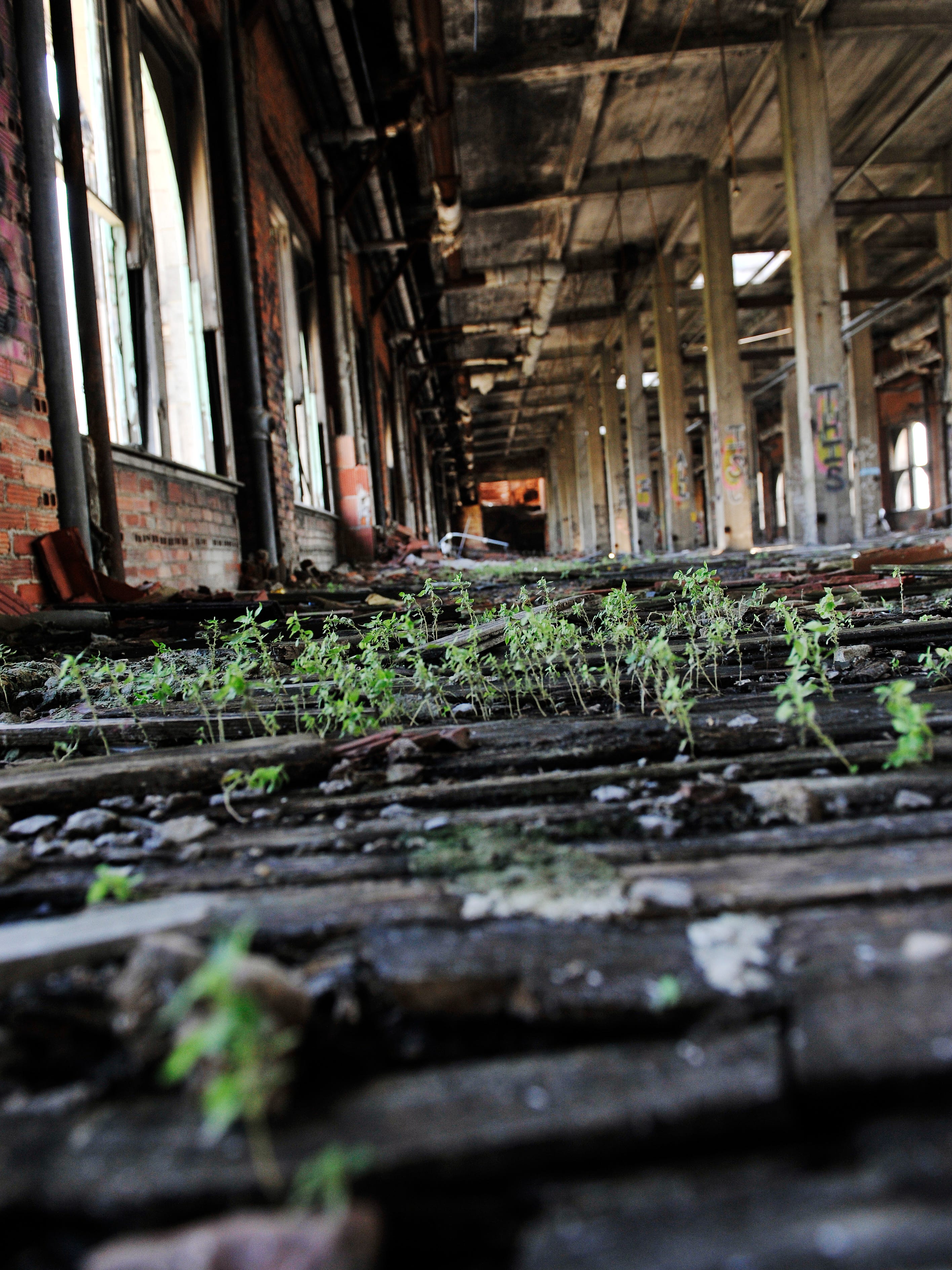 Weeds grow among the debris covering the top floor inside the Michigan Central Depot in 2011. The building's upper floors were never fully occupied.