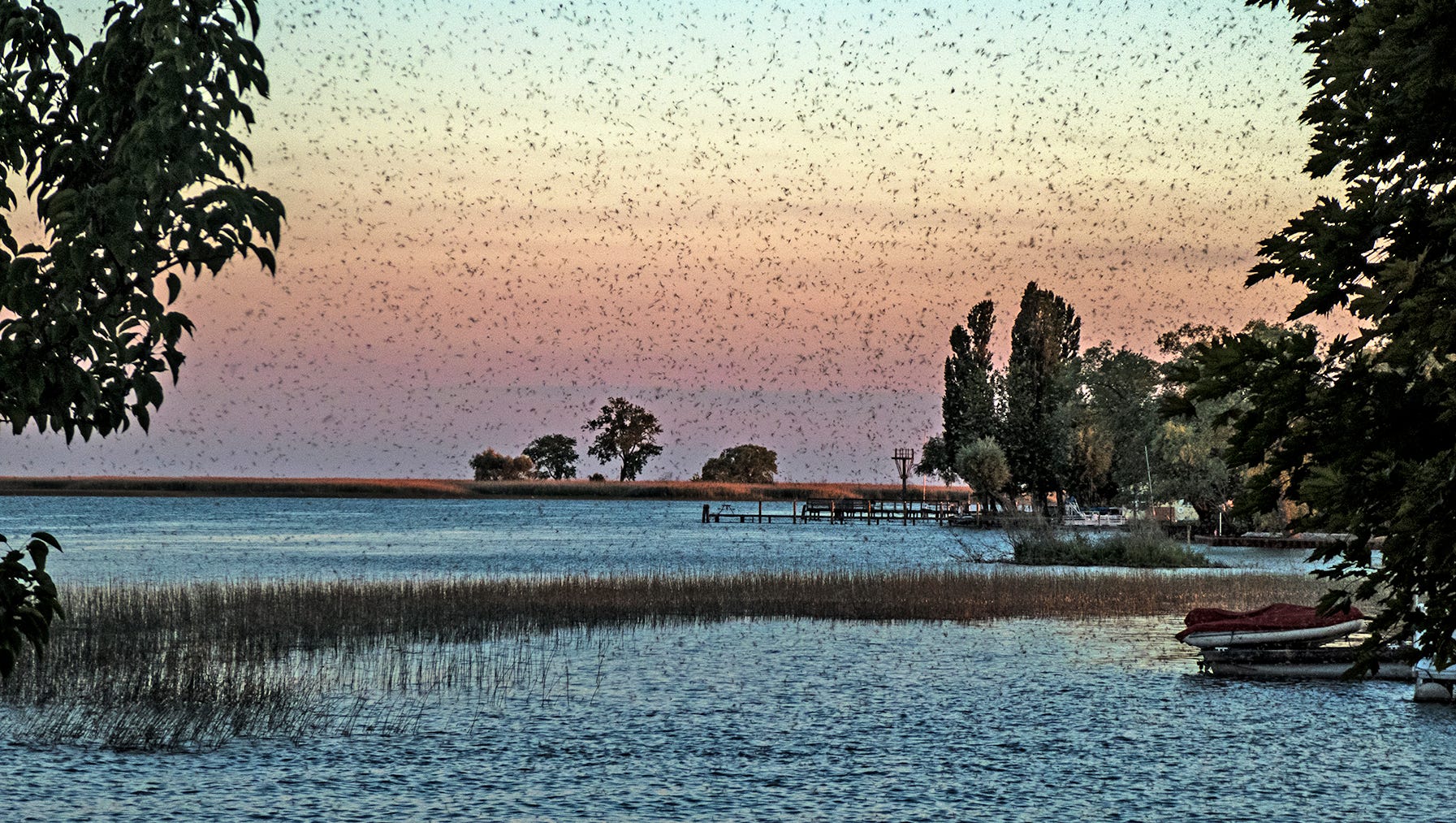 "Fishfly City," by Edward Byrnes of Rochester, shows a June scene familiar to those who live near Lake St. Clair:  Just before sunset, the air is thick with fishflies.  This view looks south across the lake's Sni Bora Channel.