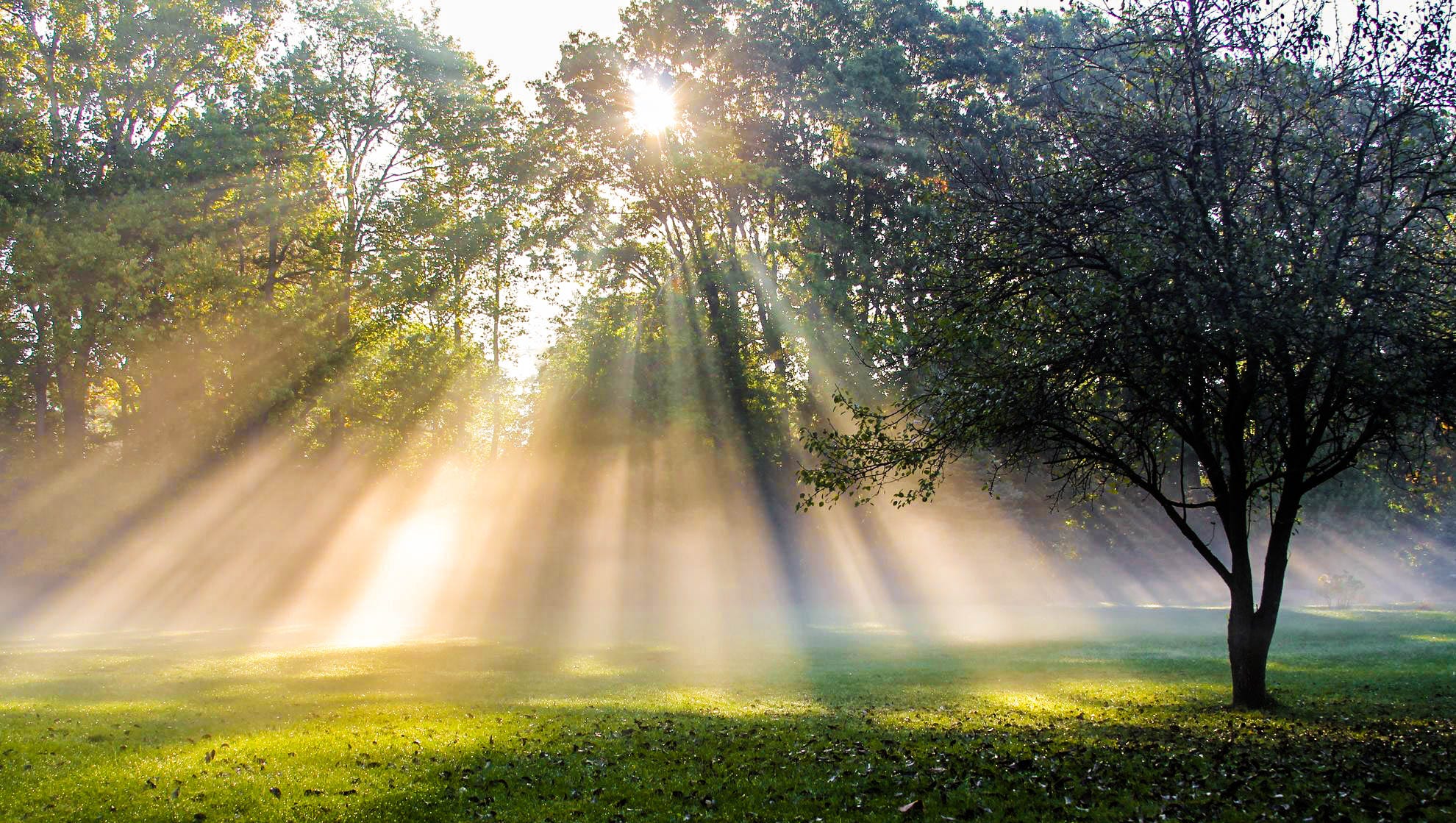 Derek Gauci, his wife Lauren and dog Bruce were preparing for a walk when they spotted these beautiful sunbeams coming through the trees in their yard.  "It proves you don't need to go way up north to find true Michigan beauty," he said.  Gauci is @falconfilmstudios on Instagram.