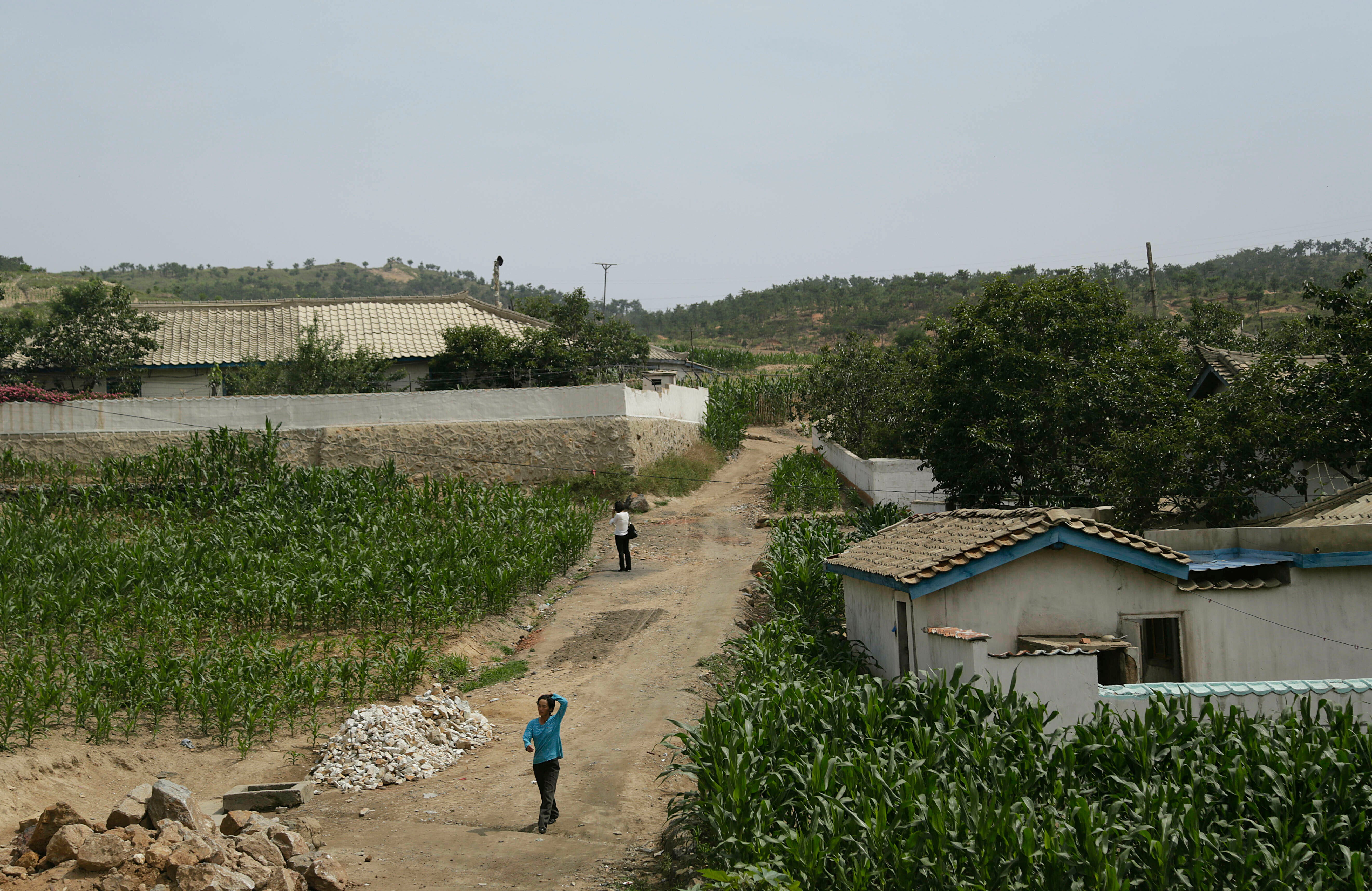 In this June 24, 2015, file photo, people walk between corn fields in South Hwanghae, North Korea.