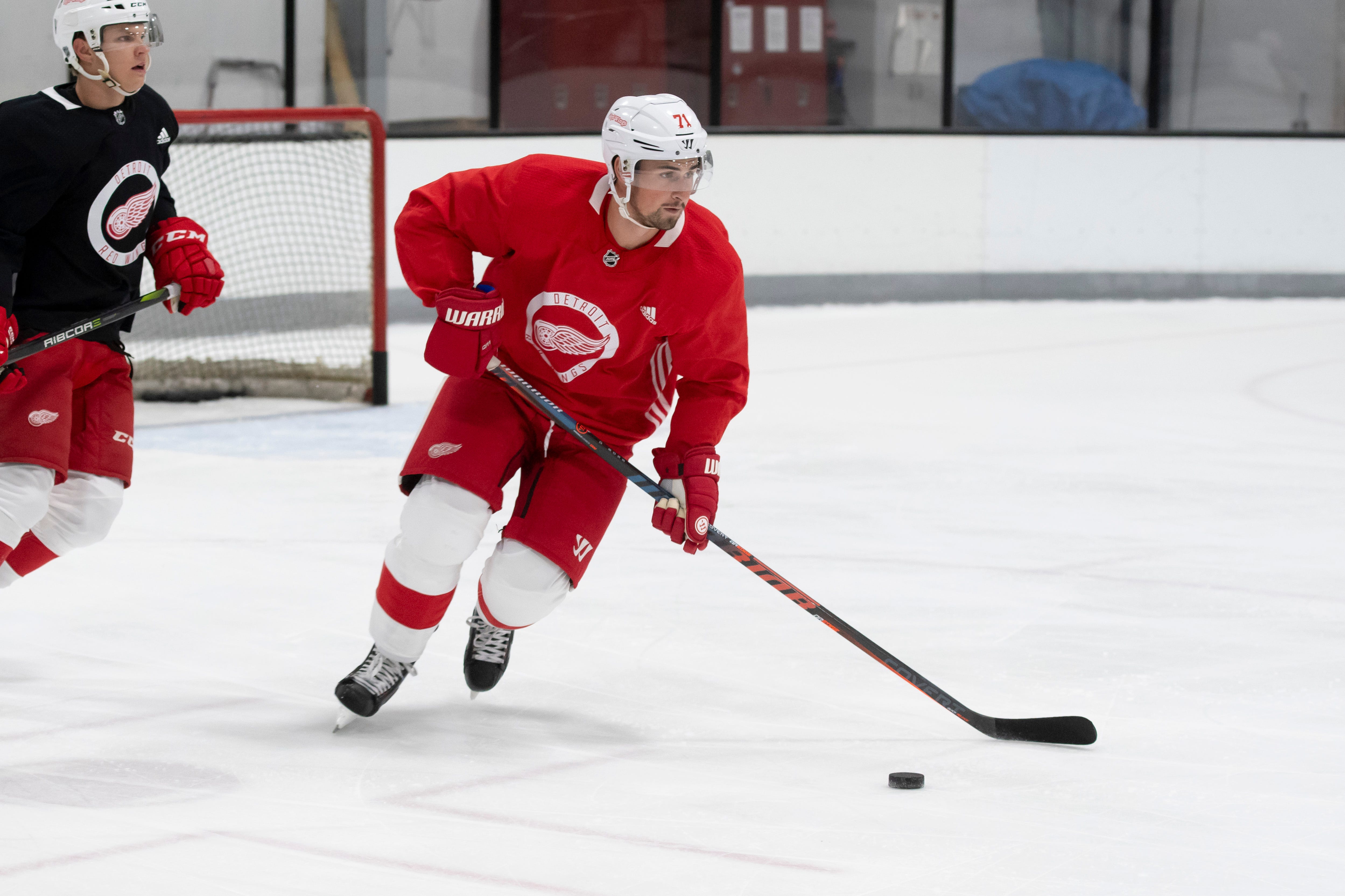 DYLAN LARKIN: AGE: 22. HT: 6-1. WT: 198. STATS: 82 games, 16 goals, 47 assists, 63 points. ANALYSIS: Growing into one of the best two-way forwards in the NHL, Larkin took major positive steps in his career last season and the Red Wings need more progress this winter.