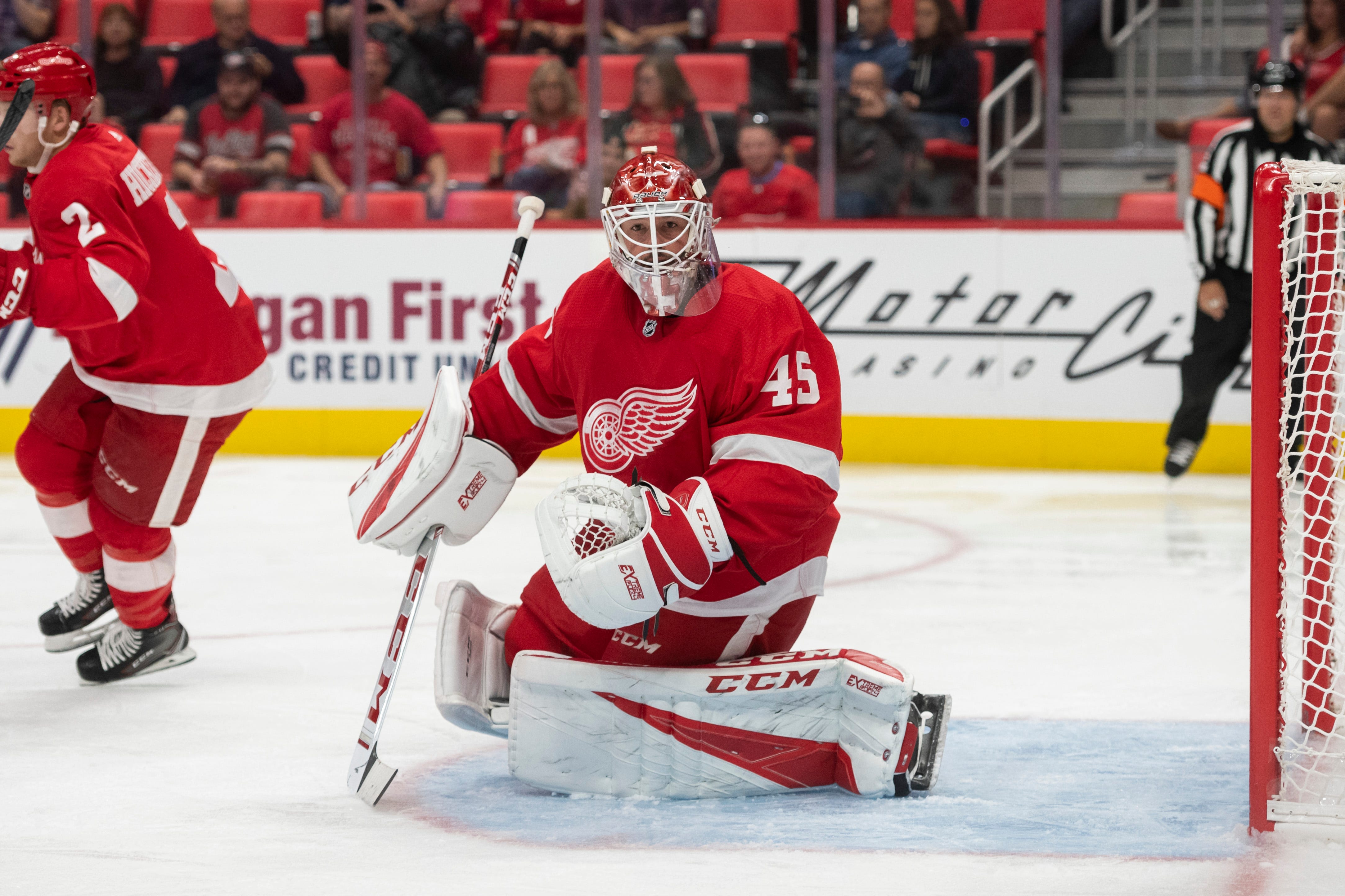 JONATHAN BERNIER: AGE: 30. HT: 6-0. WT: 185. STATS (Colorado): 19-13-3, 2.85 GAA, .913 SV. ANALYSIS: The Wings hope Bernier provides some quality, consistent backup goaltending that has been missing. He could push Jimmy Howard for plenty of playing time.