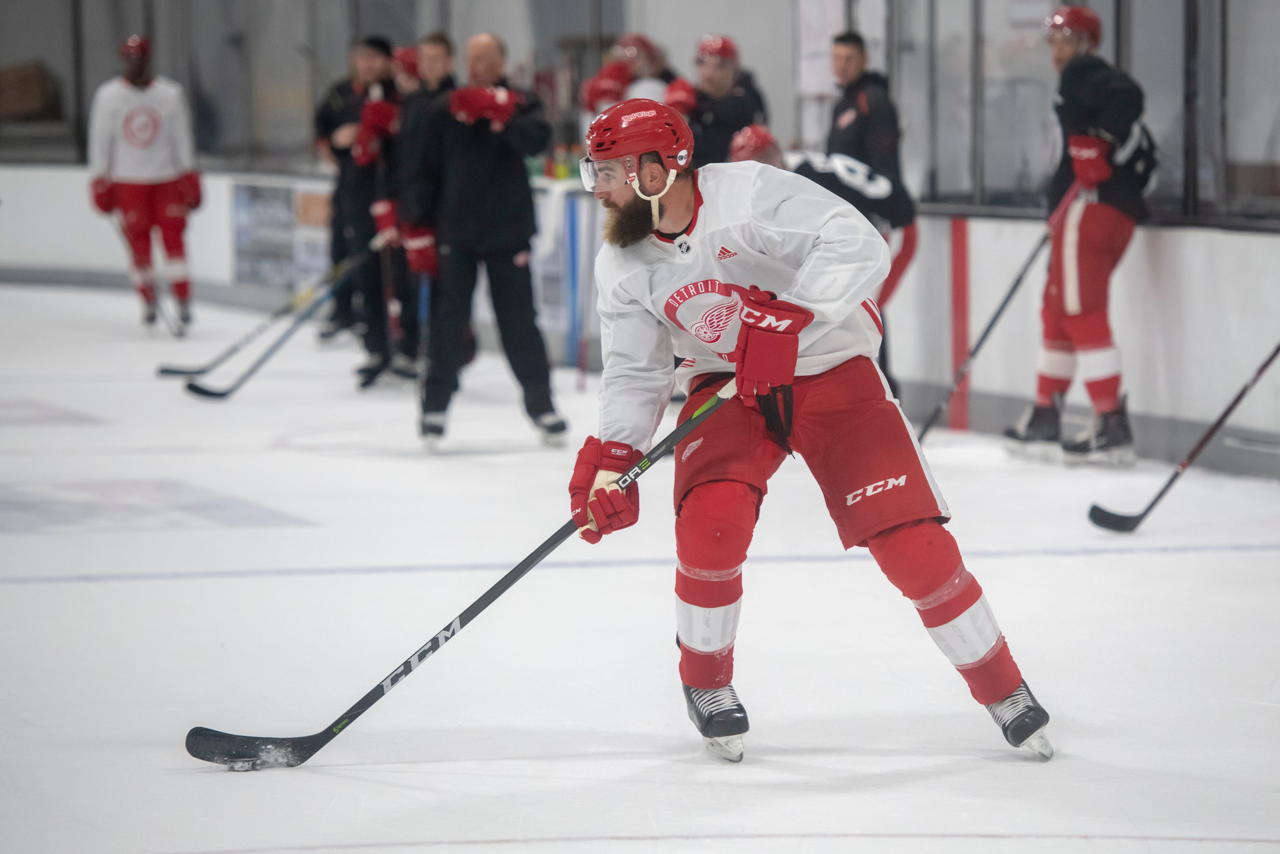 LUKE WITKOWSKI: AGE: 28. HT: 6-2. WT: 210. STATS: 31 games, 1 goal, 3 assists, 4 points. ANALYSIS: The Wings’ main physical presence, Witkowski could be traveling between Detroit and Grand Rapids quite a bit this season.