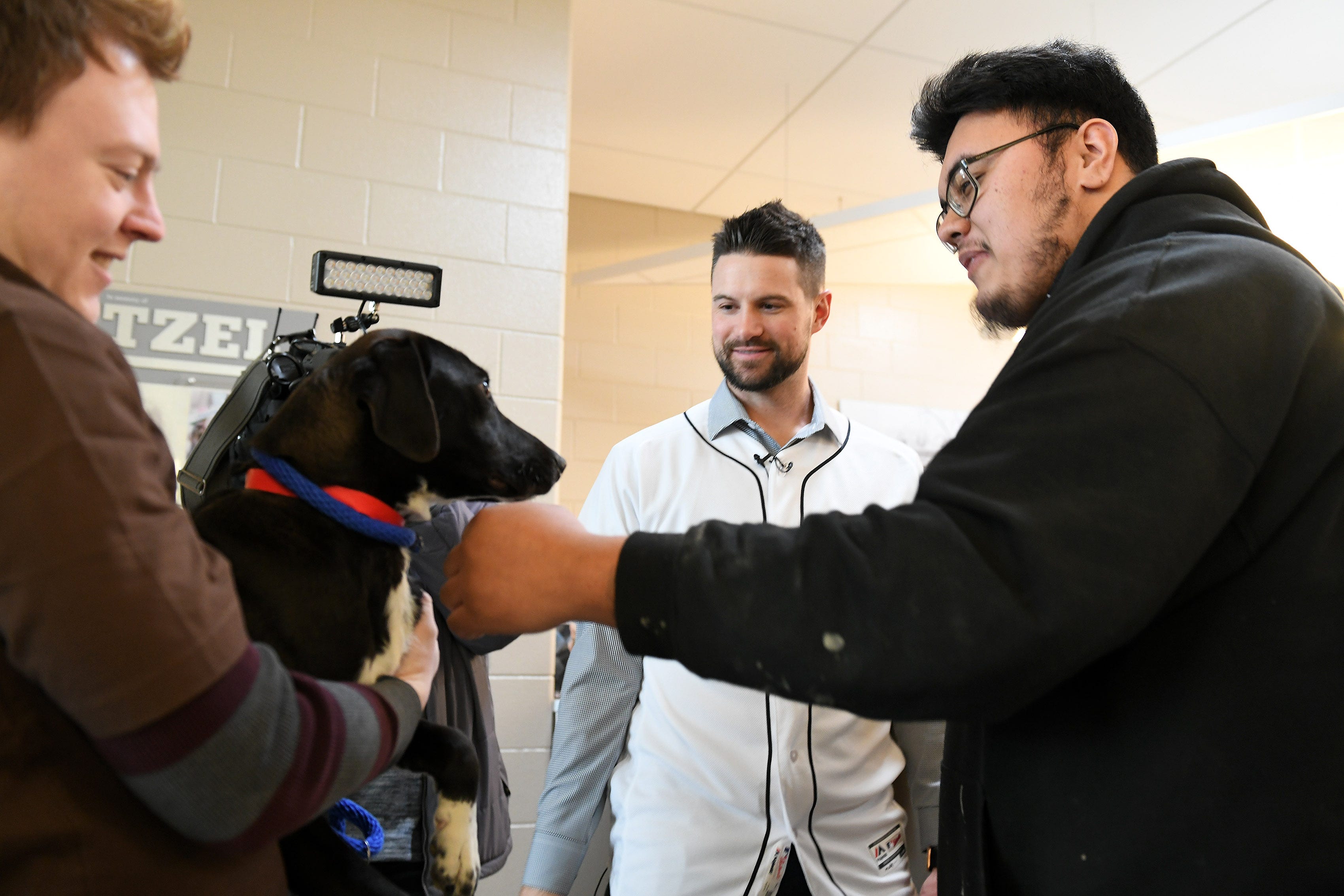 While Michigan Humane Society animal transport driver Jeremy Colborn holds her, Tigers shortstop Jordy Mercer and Marcelo Alvarado, 24, of Detroit, right, pet Lark, a Labrador that Marcelo is adopting, at the Michigan Humane Society.
