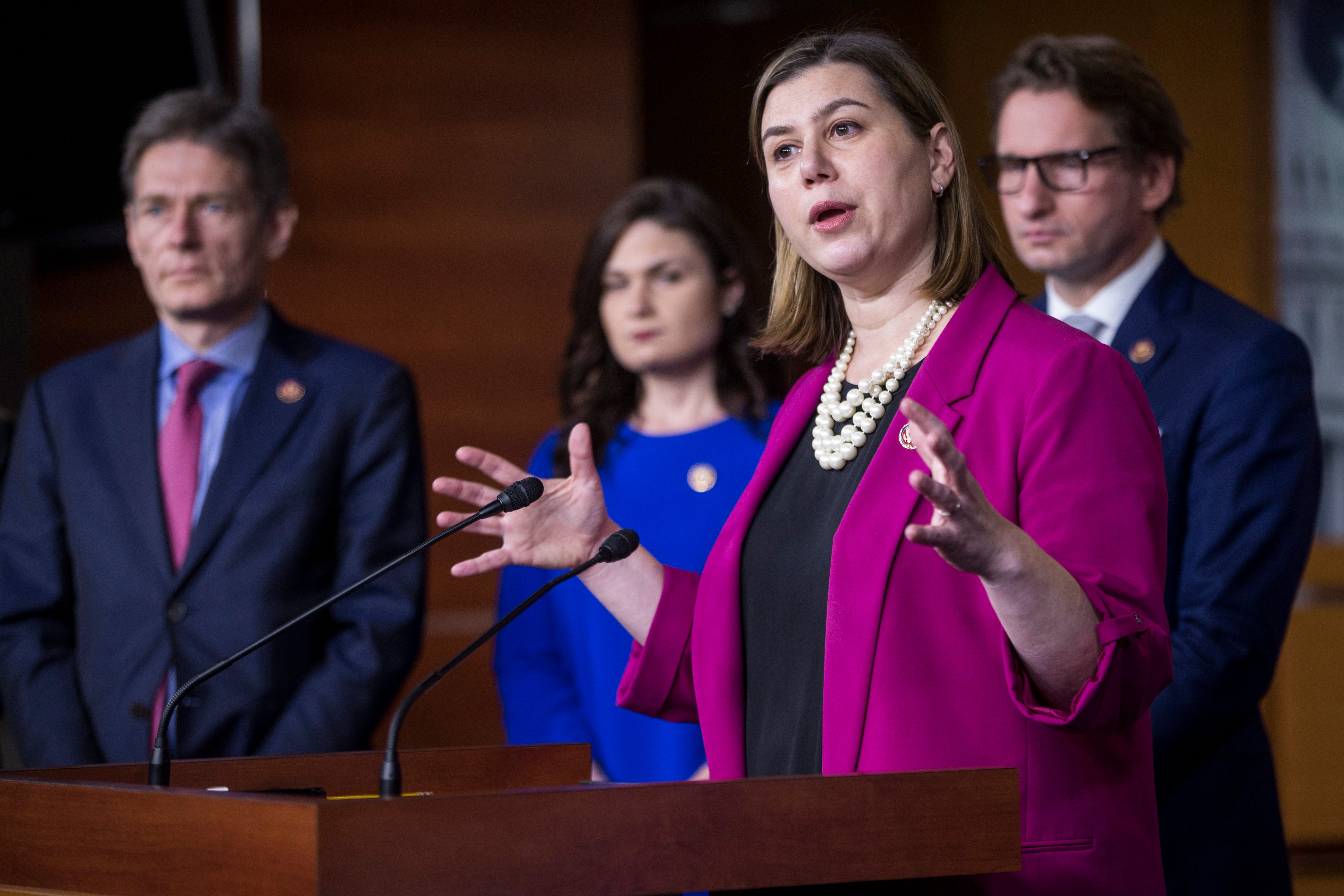 Rep. Elissa Slotkin, D-Holly, introduced with Rep. Elise Stefanik, R-New York, a bill that addresses Russian influence in social media, television or radio ads.