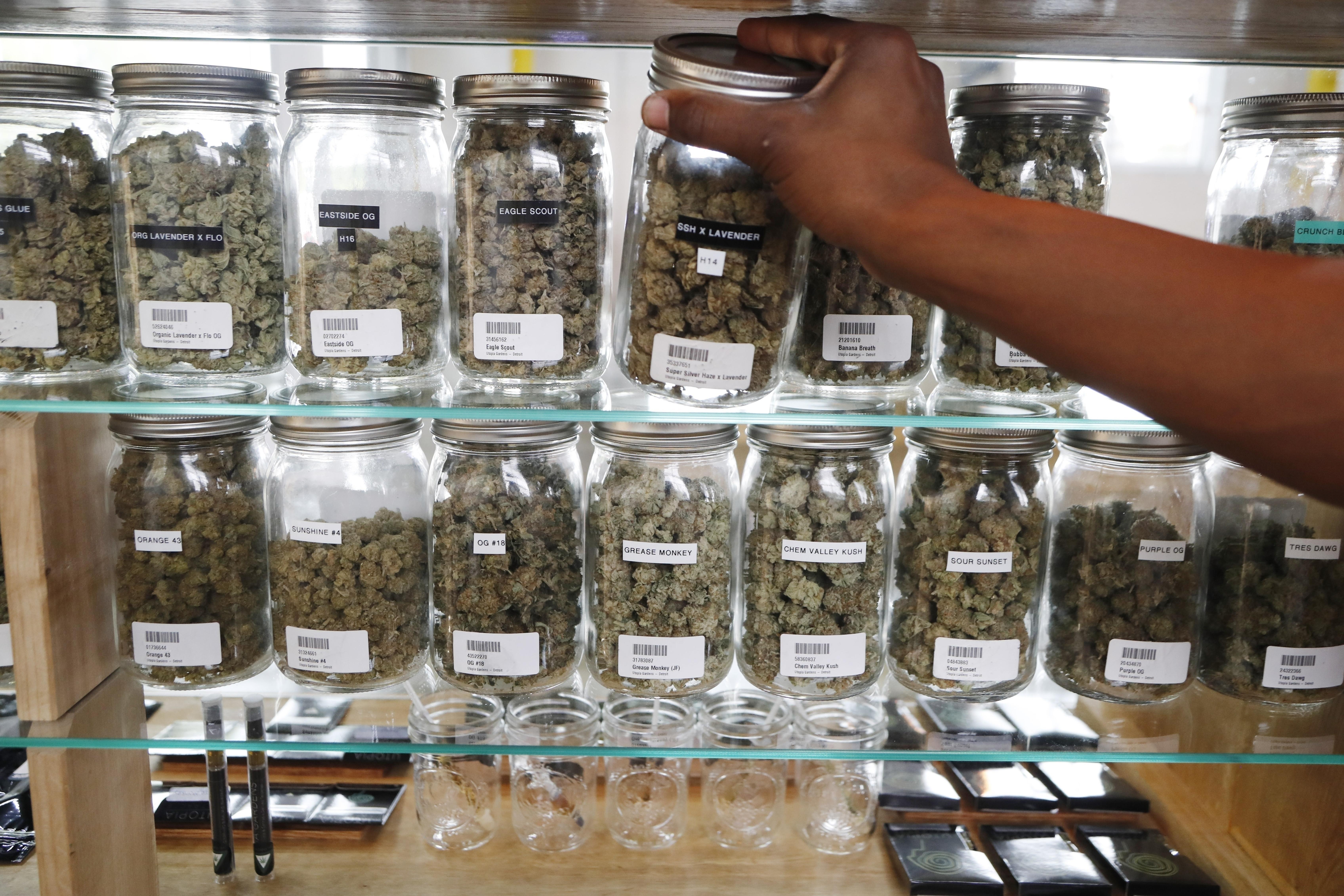 Michigan's recreational marijuana market is expected to be in line with Colorado and Nevada's by 2023, according to a report from the Chicago-based Brightfield Group.