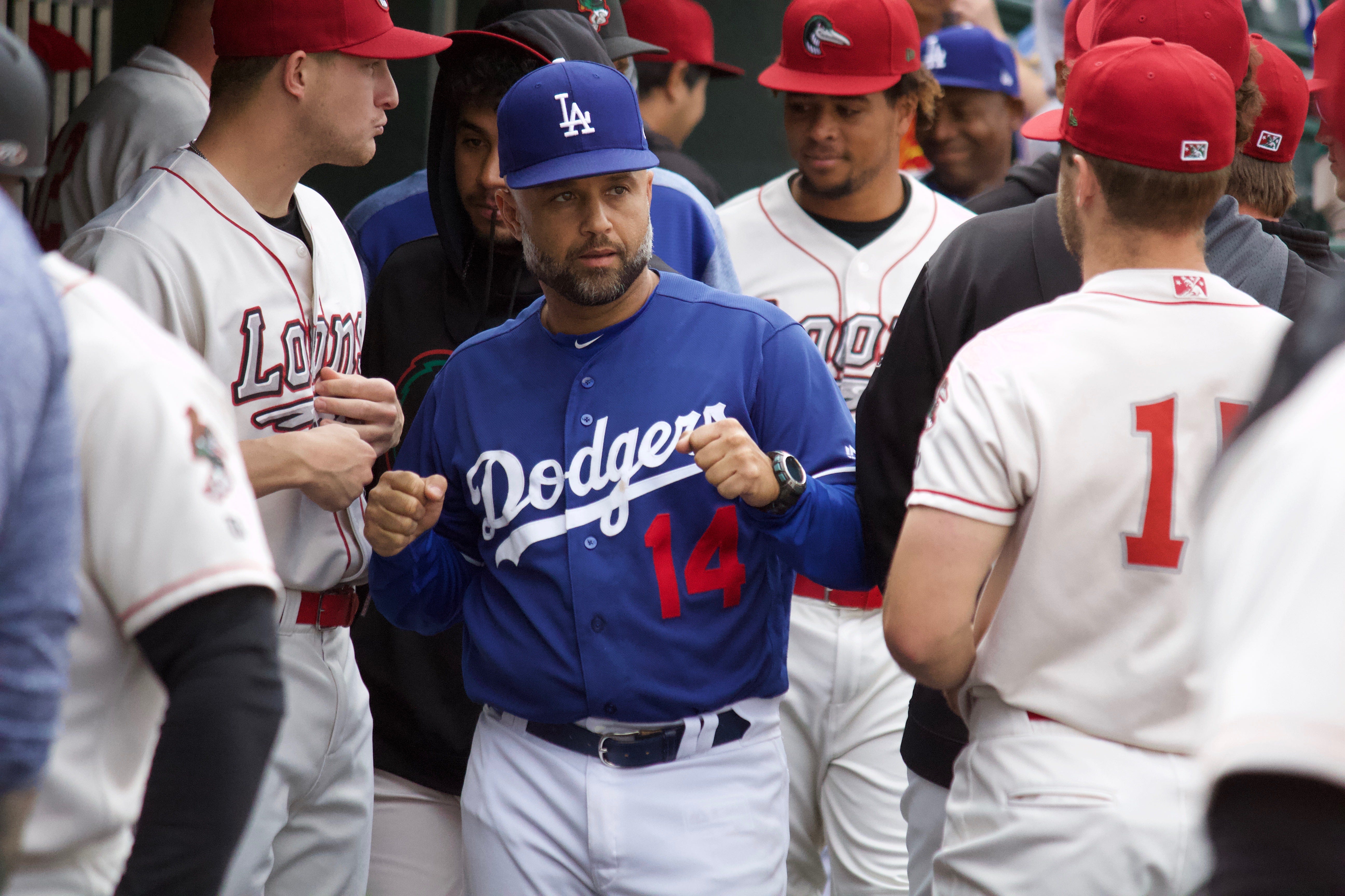 Former Tigers infielder Placido Polanco is a special assistant for player development with the Los Angeles Dodgers.