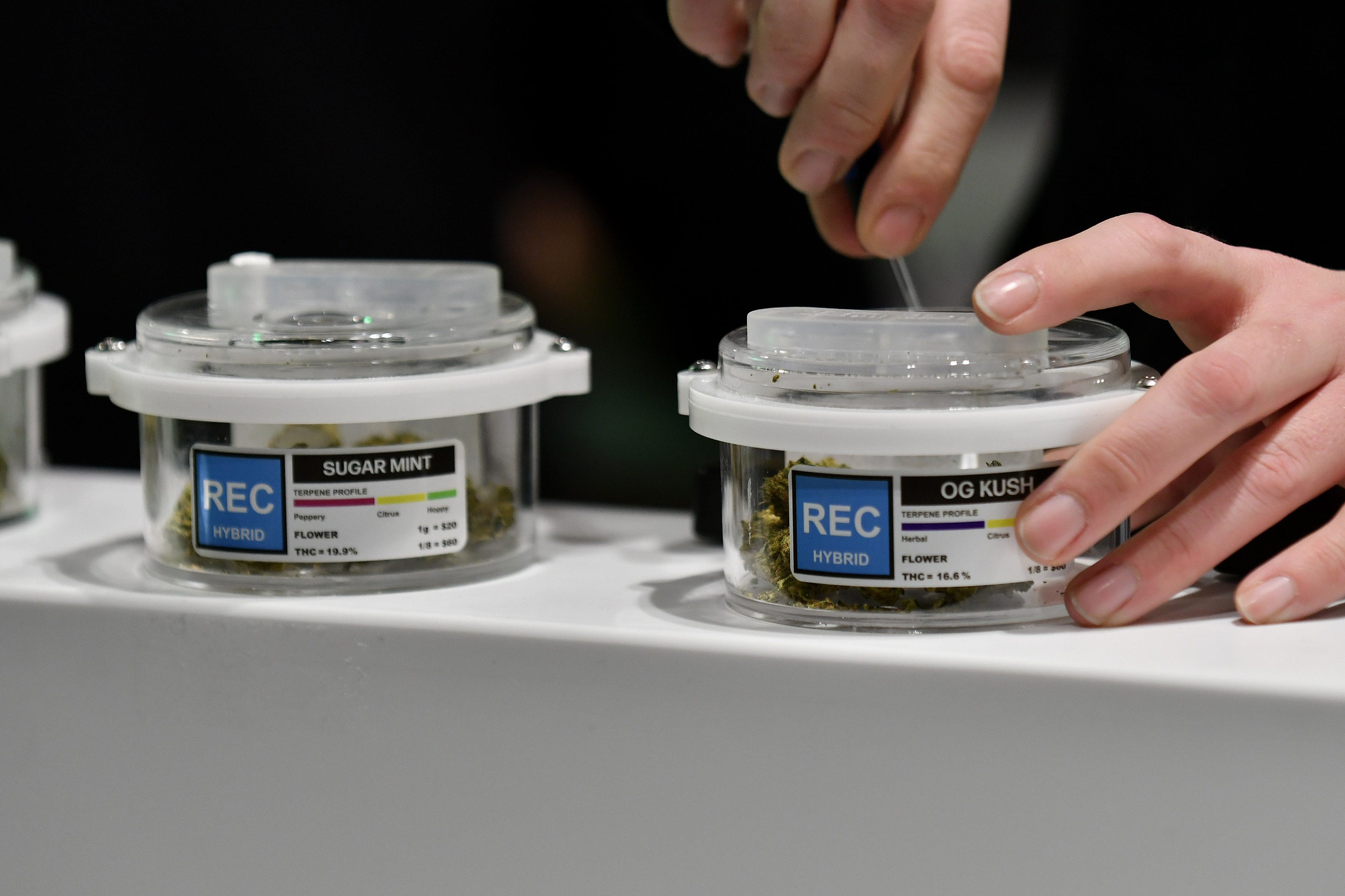 An employee prepares smell samples of marijuana flowers for recreational sale for customers to check on the fragrance of products at Exclusive Provisioning Center in Ann Arbor, Mich. on Dec. 1, 2019.  
(Robin Buckson / The Detroit News)