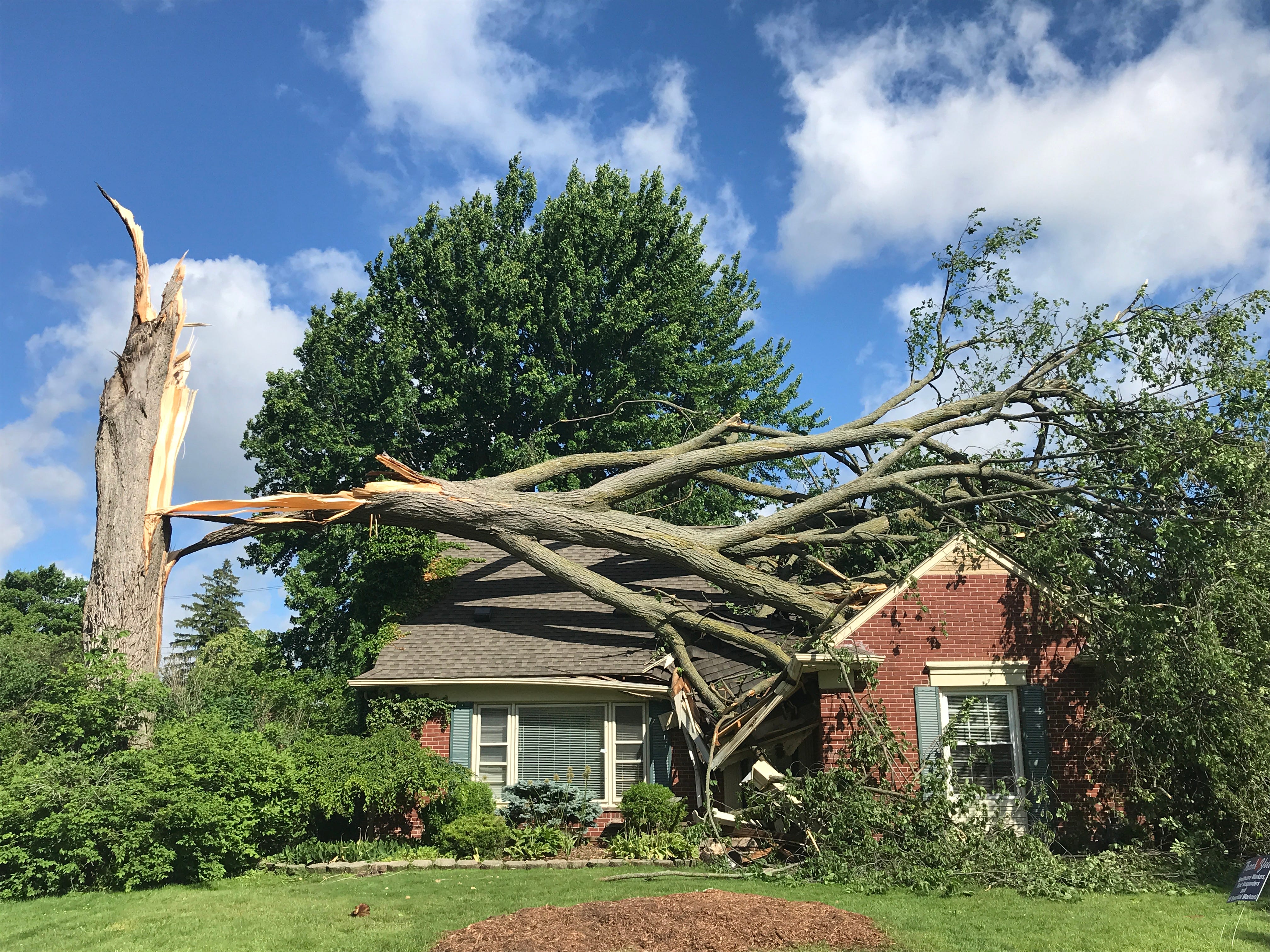 High winds caused a neighbor's tree to fall on Rebecca and Paul Tomezak's home in Grosse Pointe Woods causing significant damage to the roof. photos taken on Thursday, June 11, 2020.