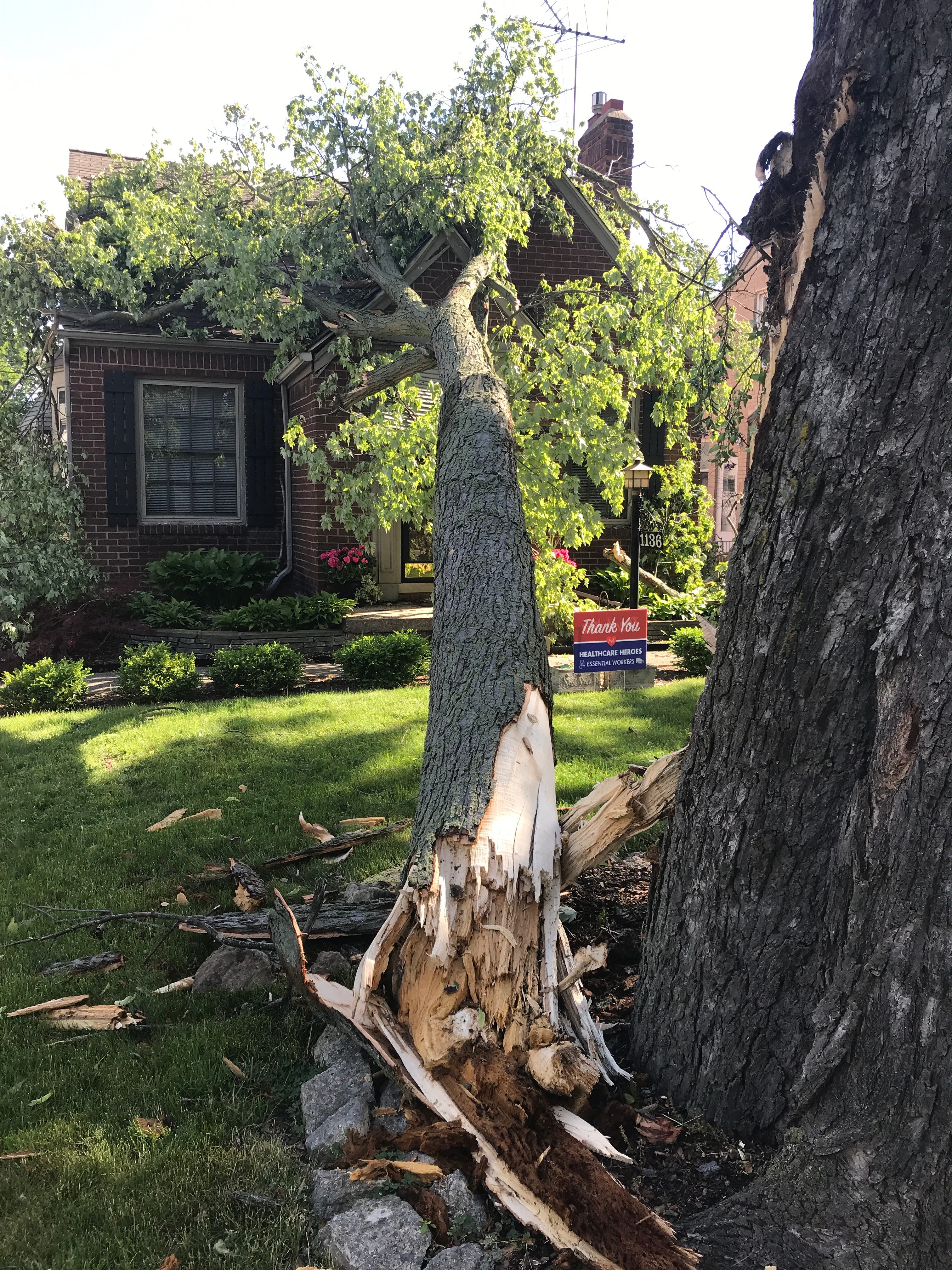 High winds caused a tree to fall on this house along Vernier Road in Grosse Pointe Woods.