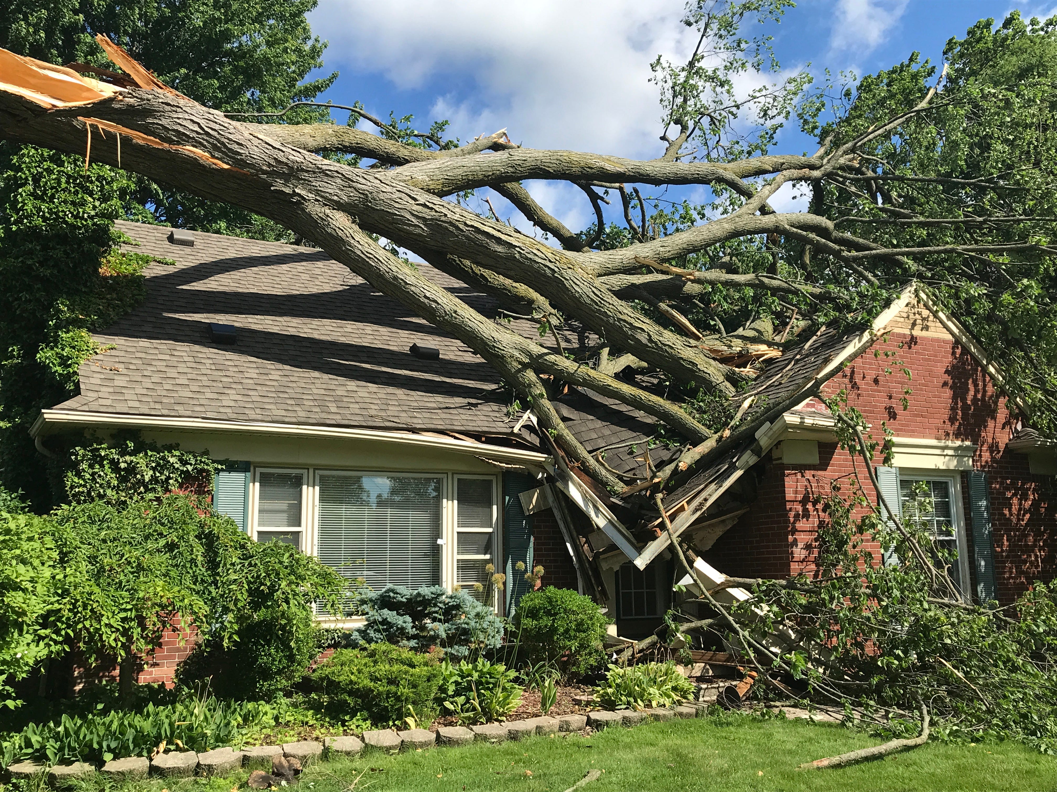 High winds caused a neighbor's tree to fall on Rebecca and Paul Tomezak's home in Grosse Pointe Woods causing significant damage to the roof.