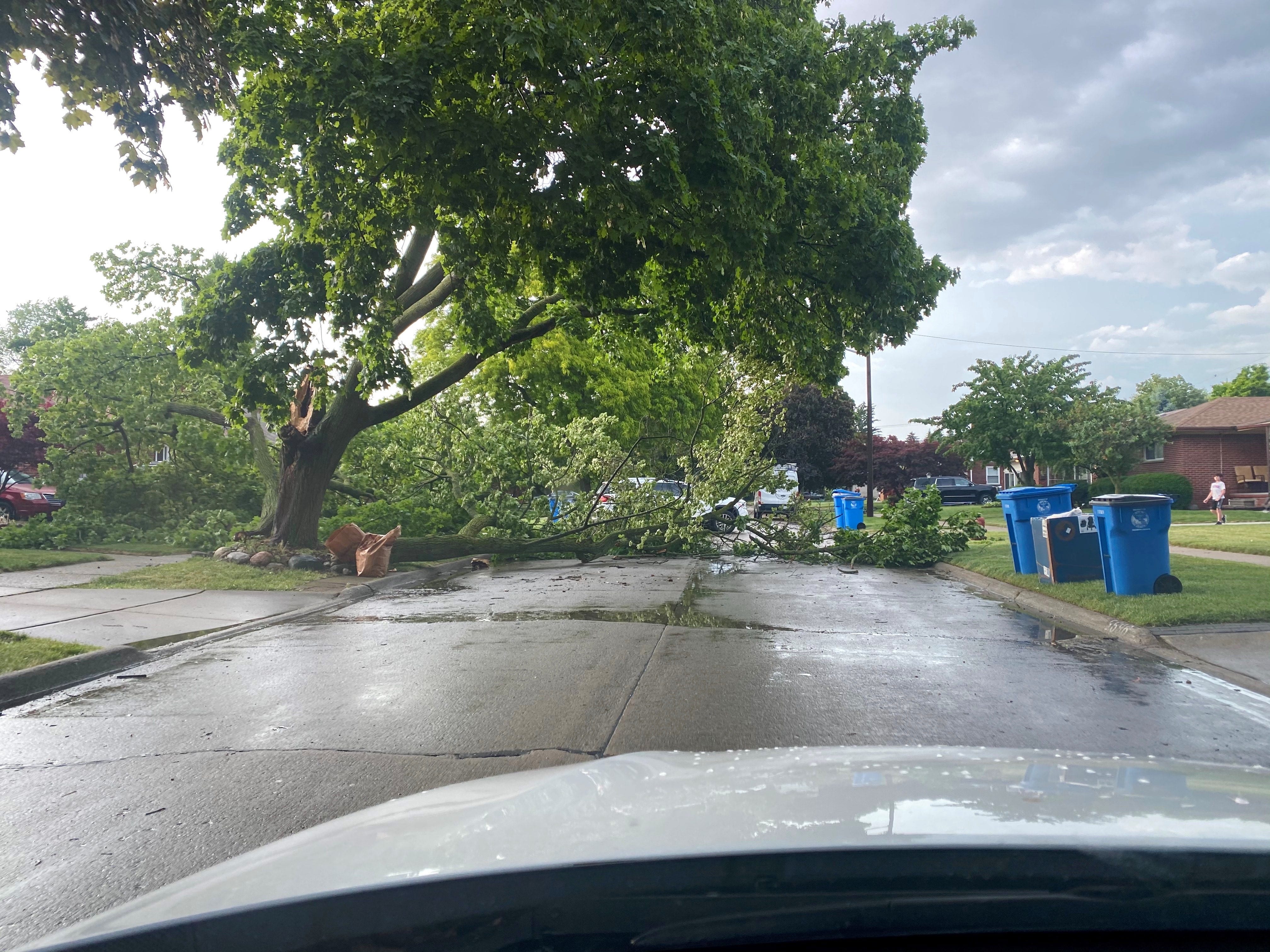 A tree blocked a west Dearborn neighborhood road.