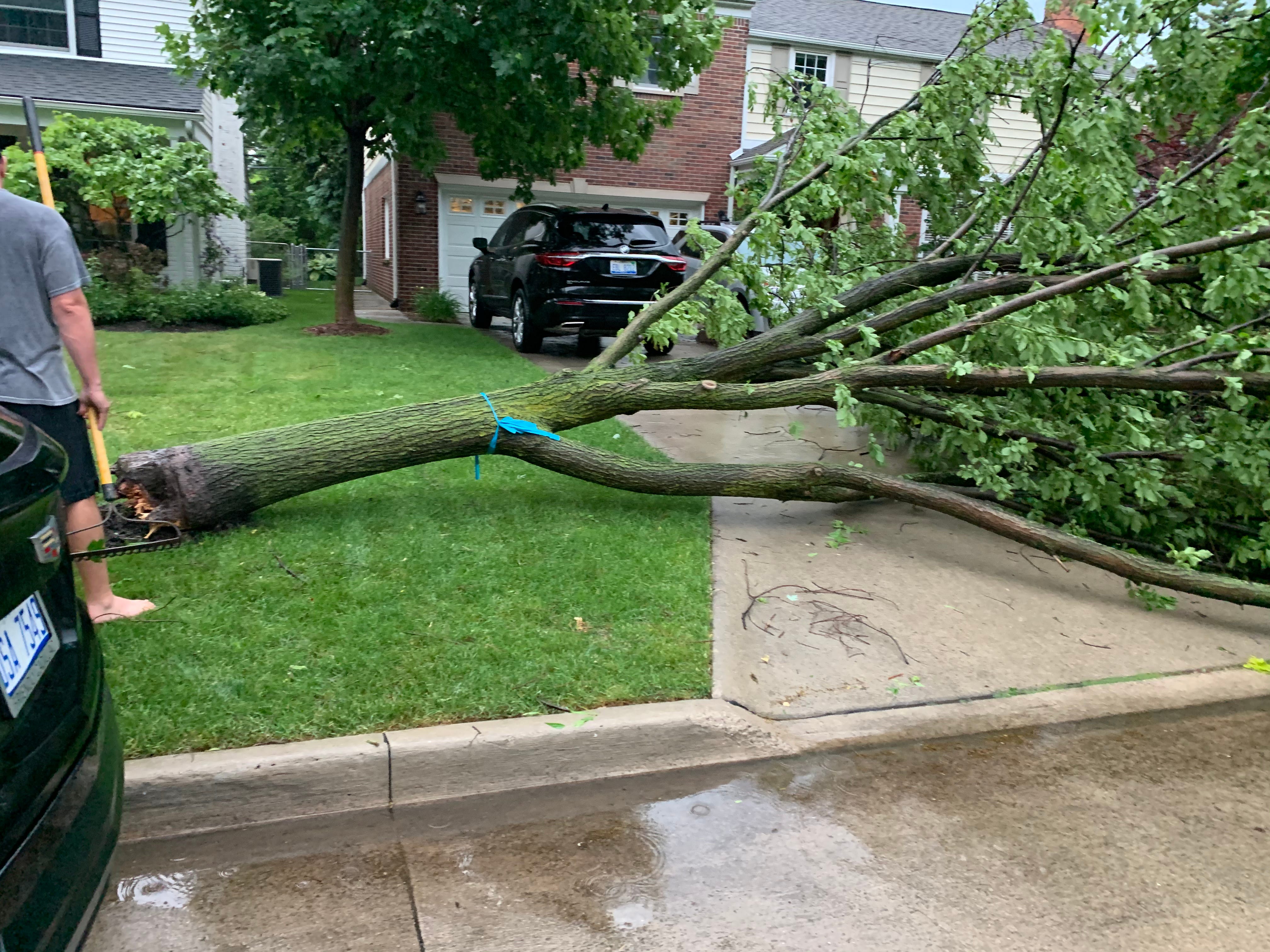 A tree is uprooted along N. Oxford Street in Grosse Pointe Woods on Wednesday, June 10, 2020.