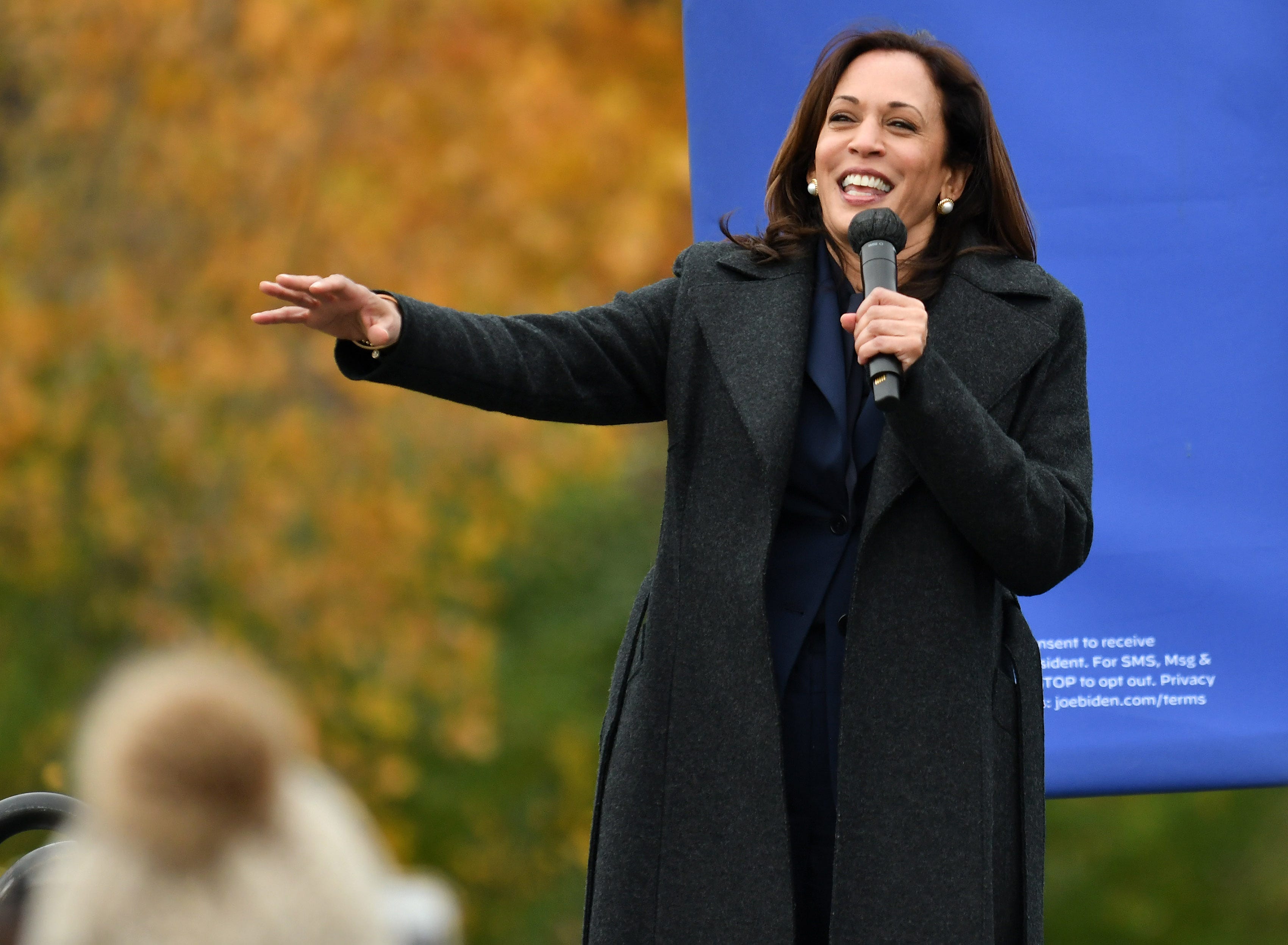Democratic vice presidential candidate Sen. Kamala Harris speaks at the Canvass Kickoff event at the Troy Community Center in Troy, Mich. in Detroit on Oct. 25, 2020.