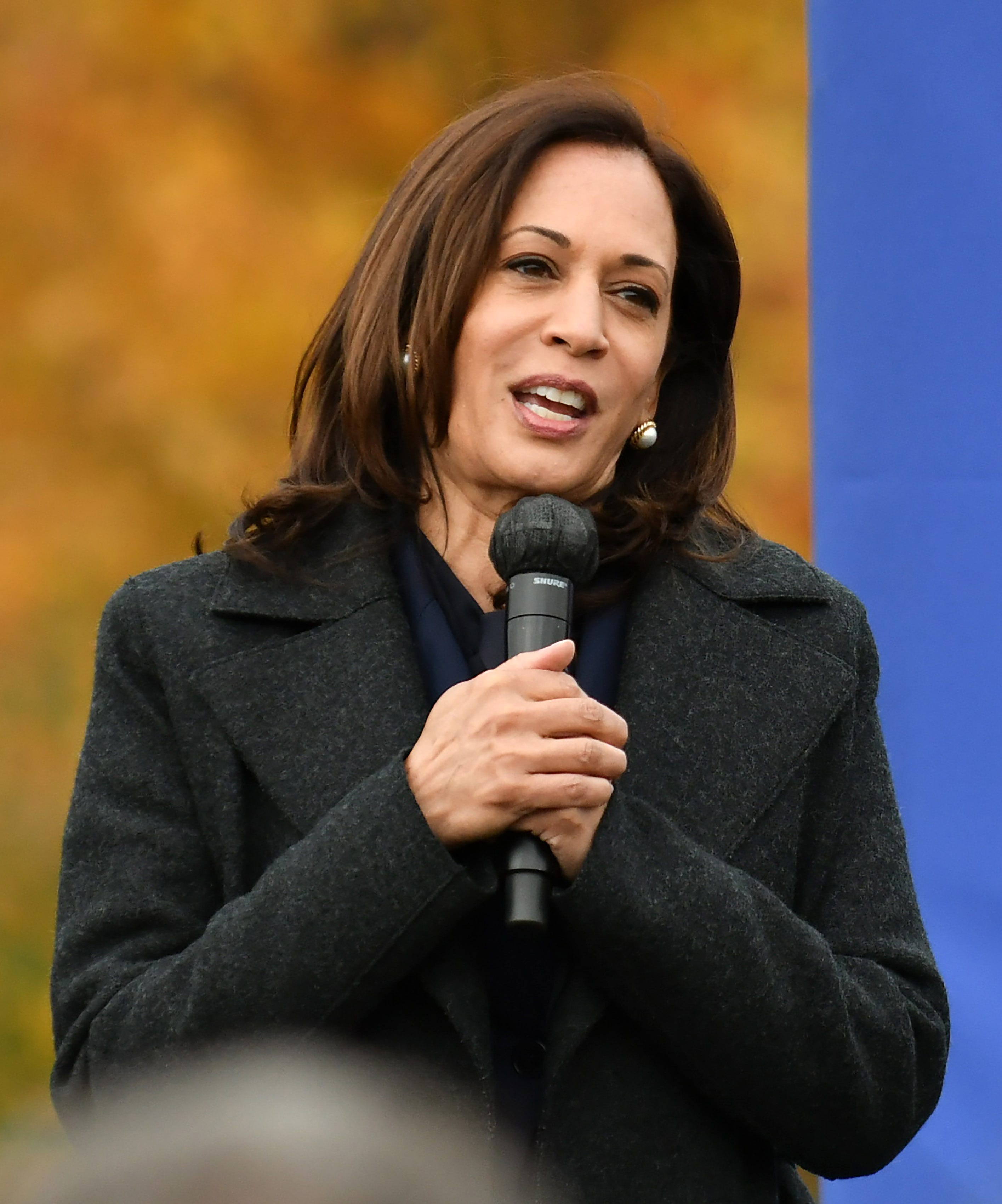 Democratic vice presidential candidate Sen. Kamala Harris speaks at the Troy Community Center in Troy on Oct. 25, 2020.