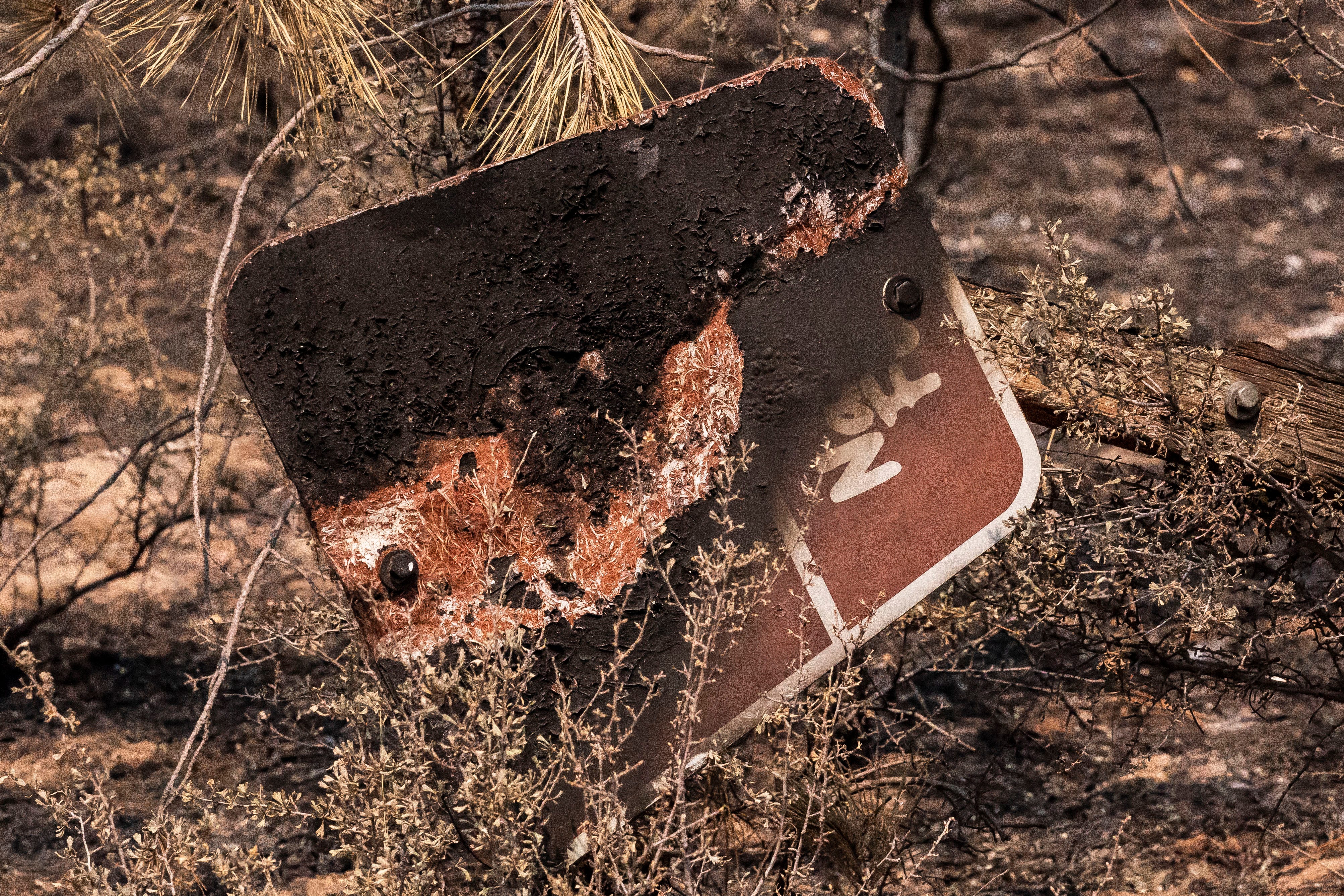 A sign marking a U.S. National Forest road is seen charred on the North East side of the Bootleg Fire, Wednesday, July 14, 2021, near Sprague River, Ore.