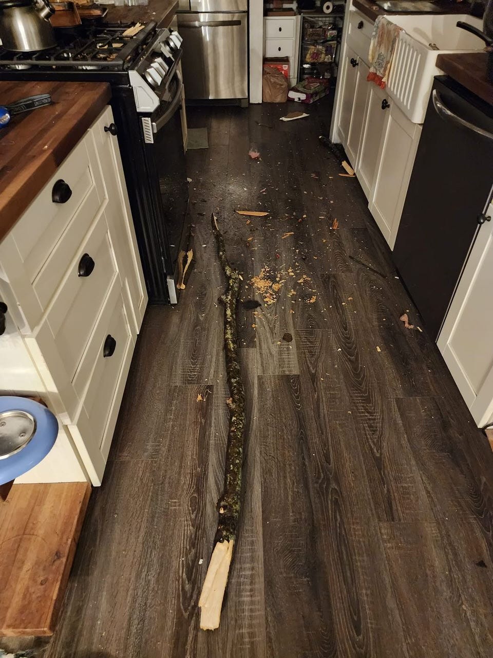 A tree limb downed by ice from Wednesday's storm landed on Nicole Streeter's kitchen floor after ripping through the roof of her home on Wells Road in Dundee, Michigan.
