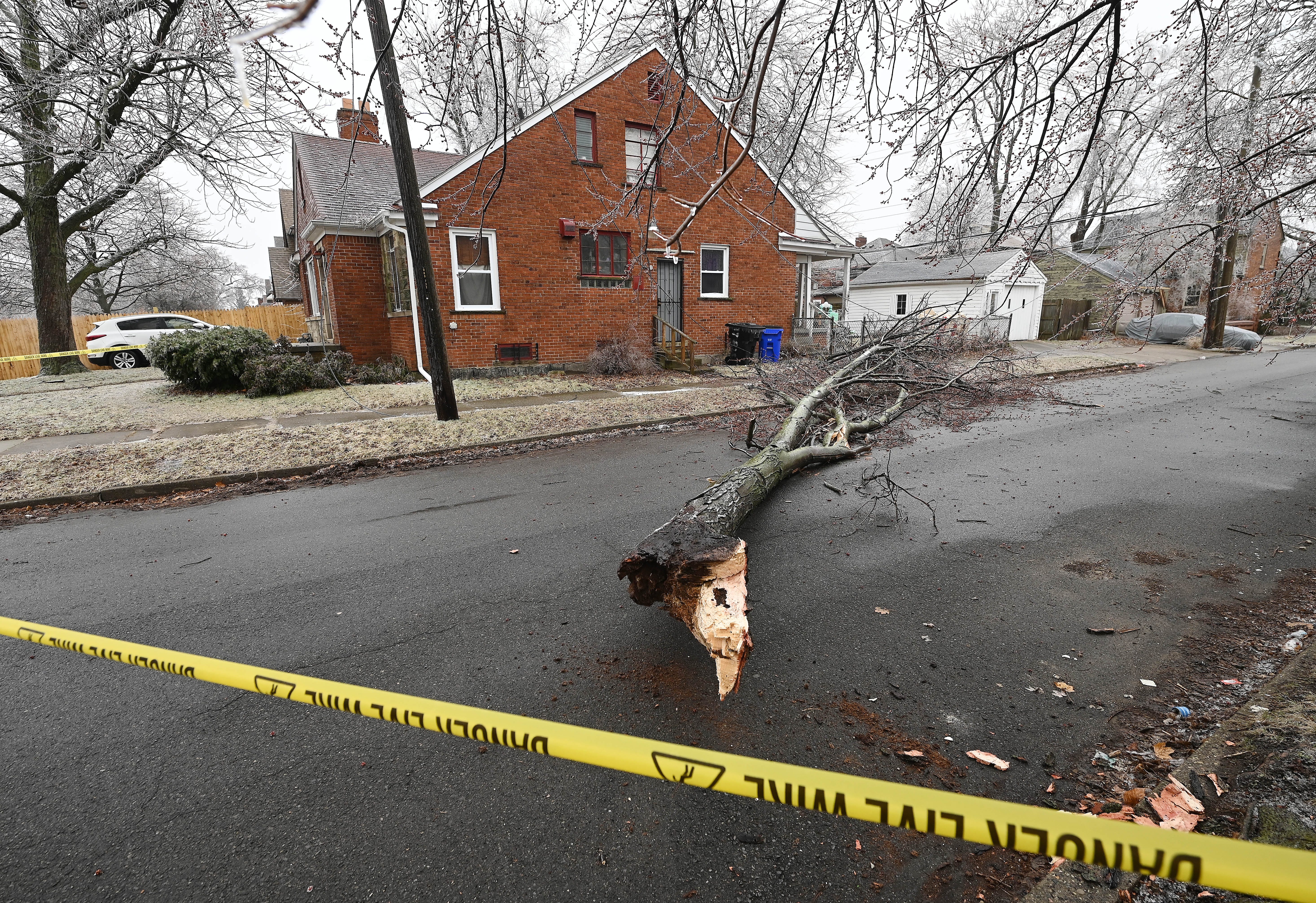 A downed tree limb blocka of Ohio Street in Detroit Thursday morning.