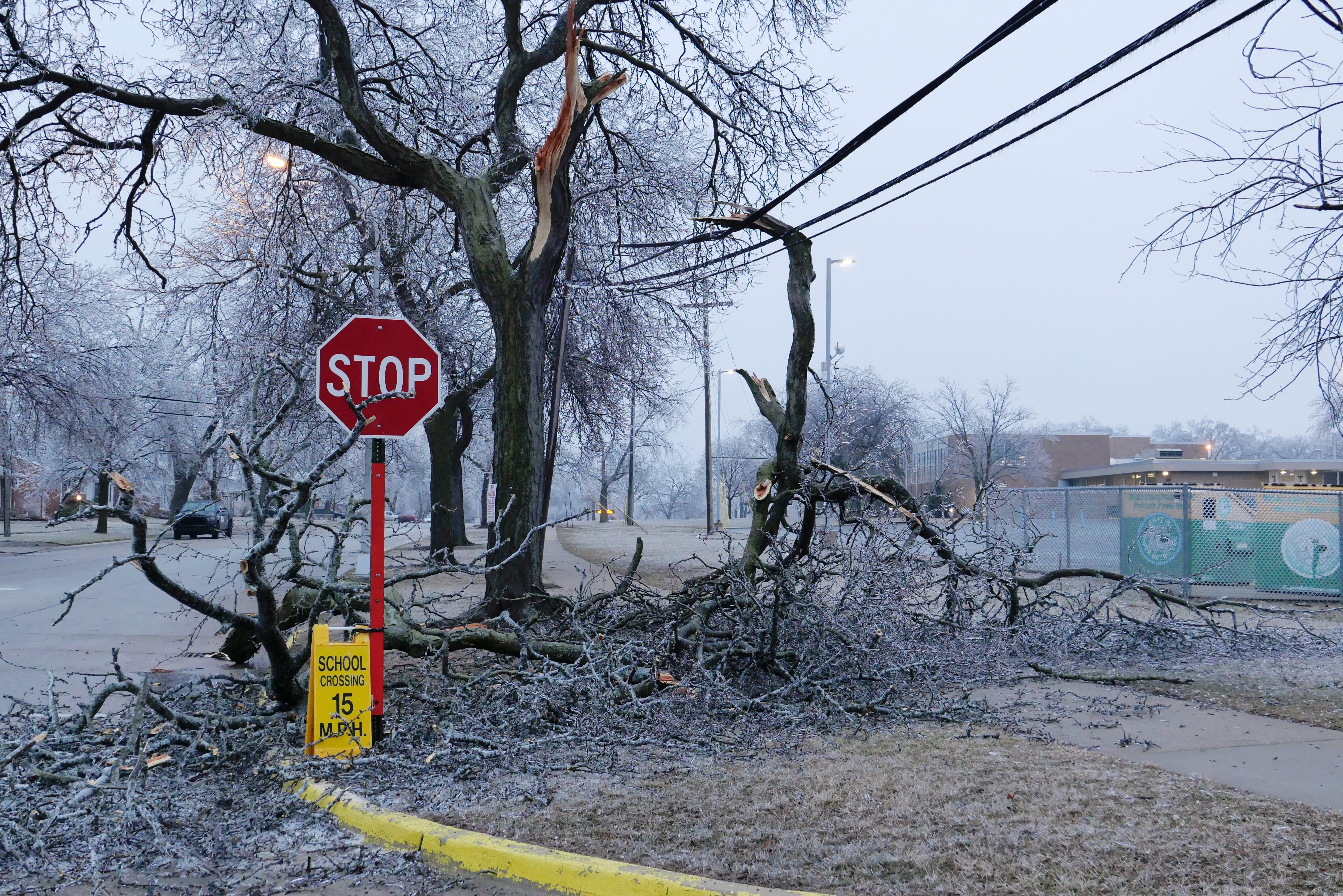 A tree limb hangs in a power line near Hedke Elementary in Trenton, Thursday, Feb. 23. Andy Morrison, The Detroit News.