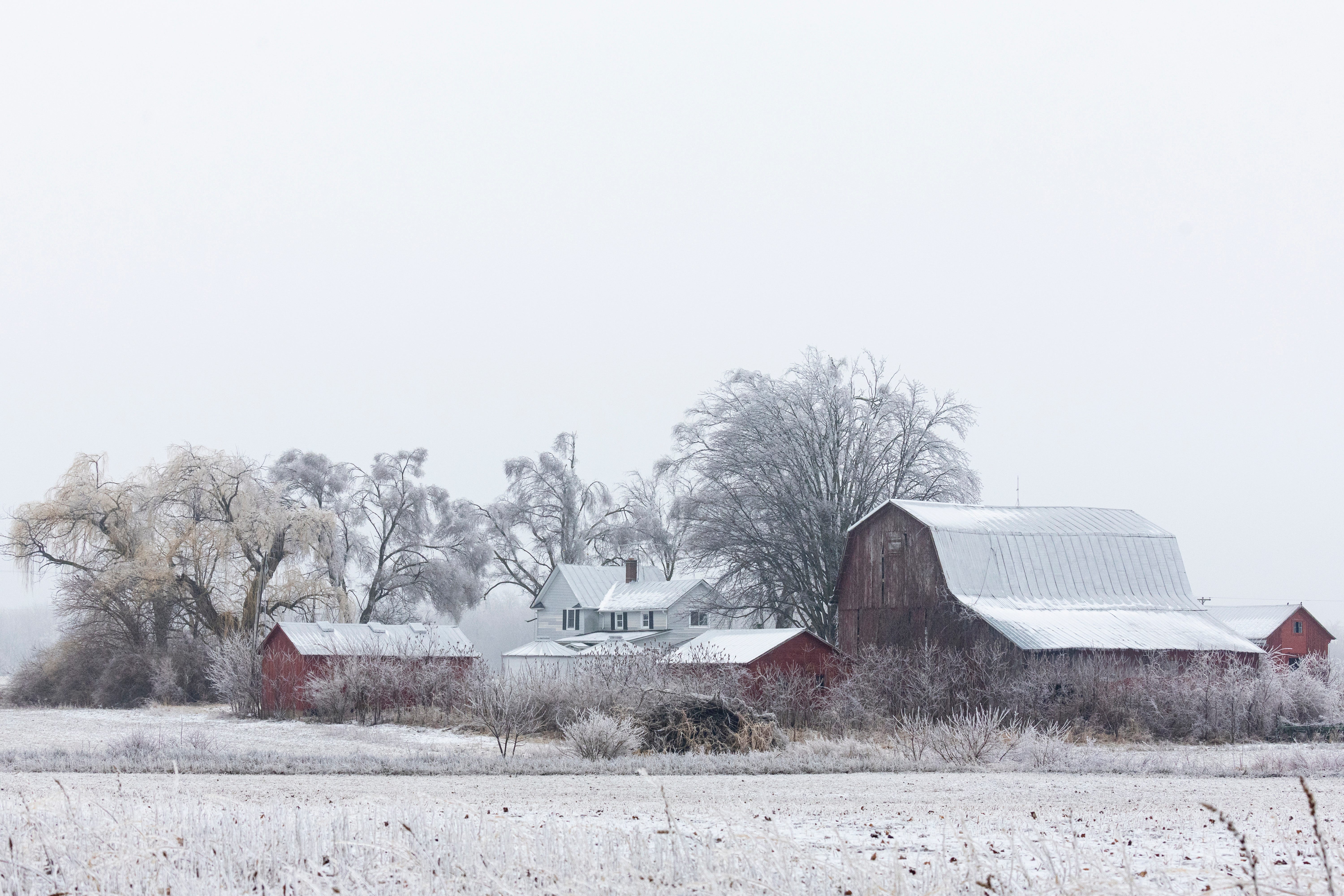 A barn surround by ice covered trees following an ice storm in Allegan County, Mich., on Thursday.