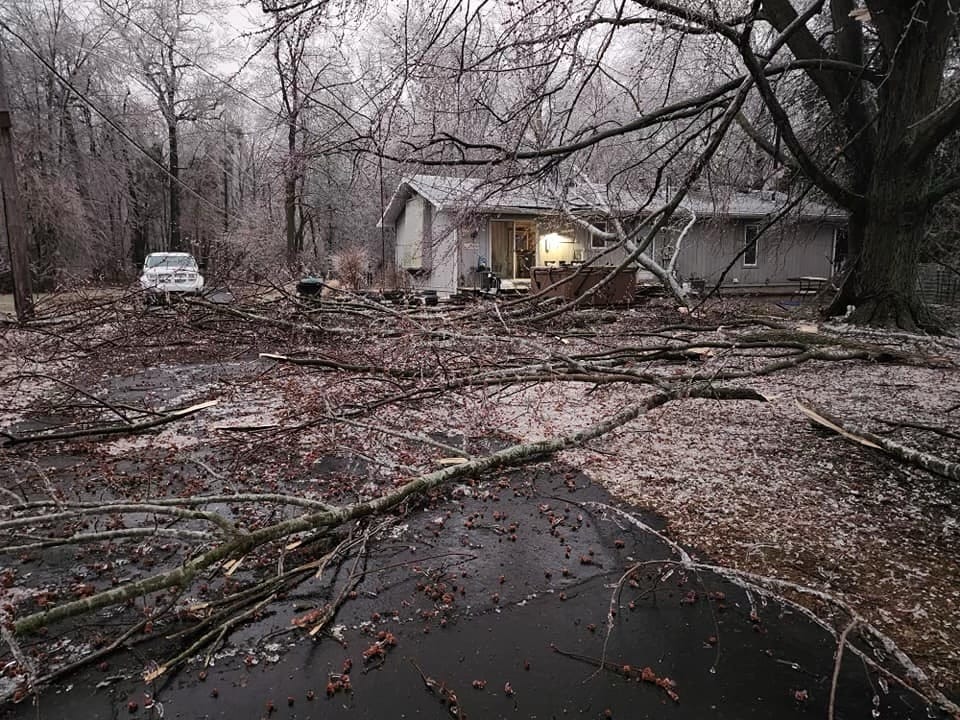 Trees downed by ice accumulation block Wells Road in Dundee Thursday morning.