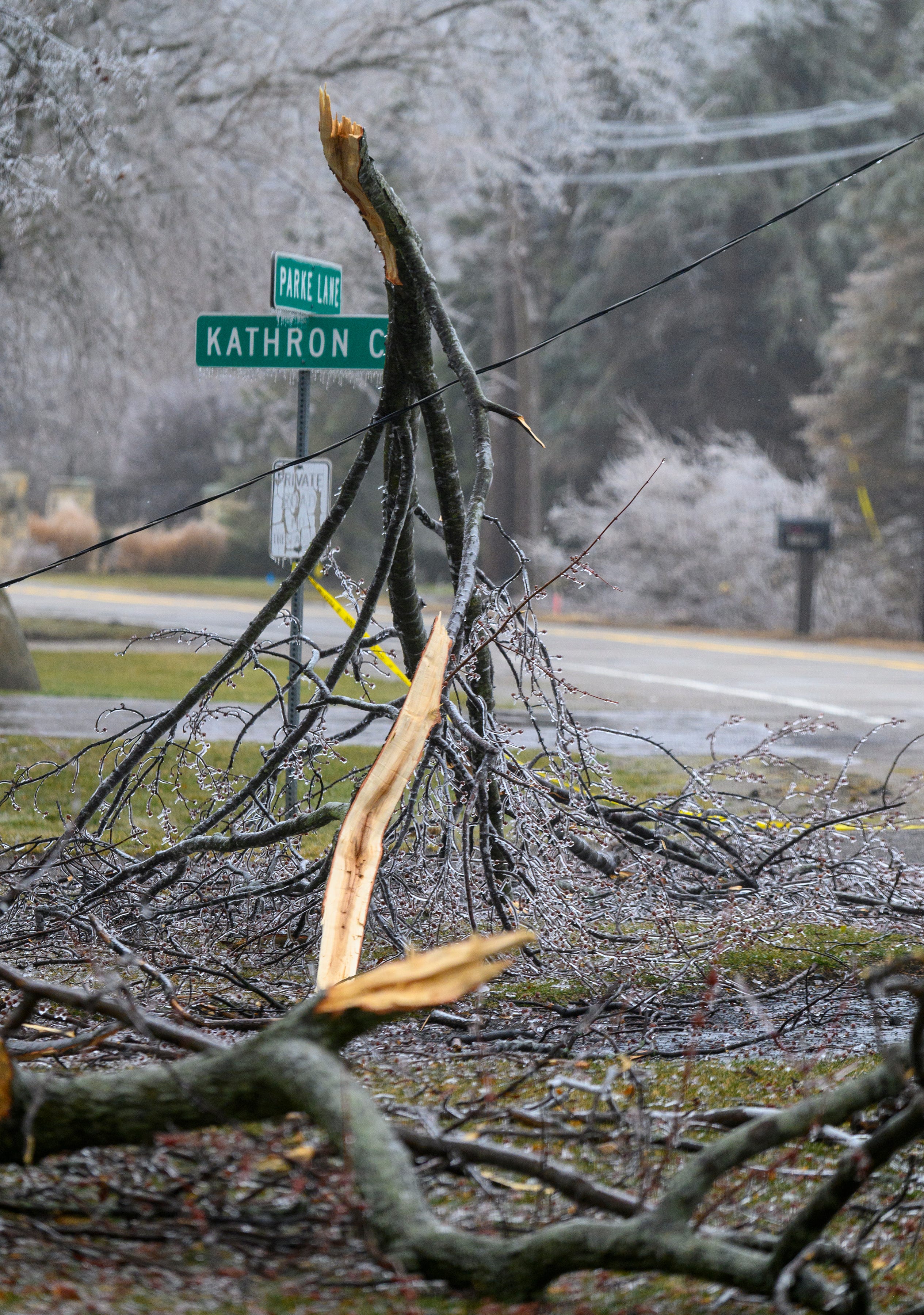 A tree limb rests on a cable line on Grosse Ile, Thursday, February 23, 2023.