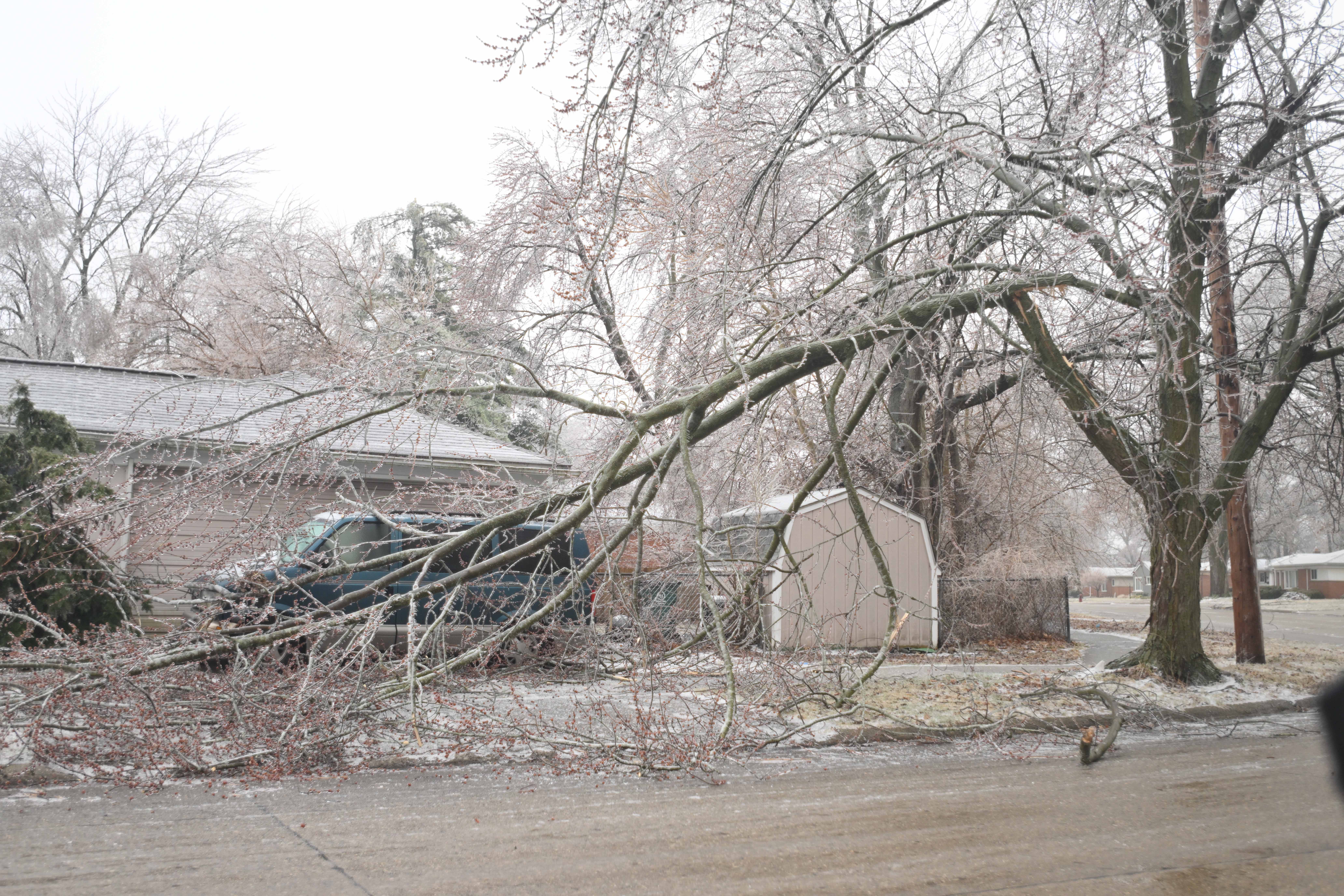 Fallen limbs incased in ice cover a van af at a house on Oliver in Royal Oak, Michigan on February 23, 2023.