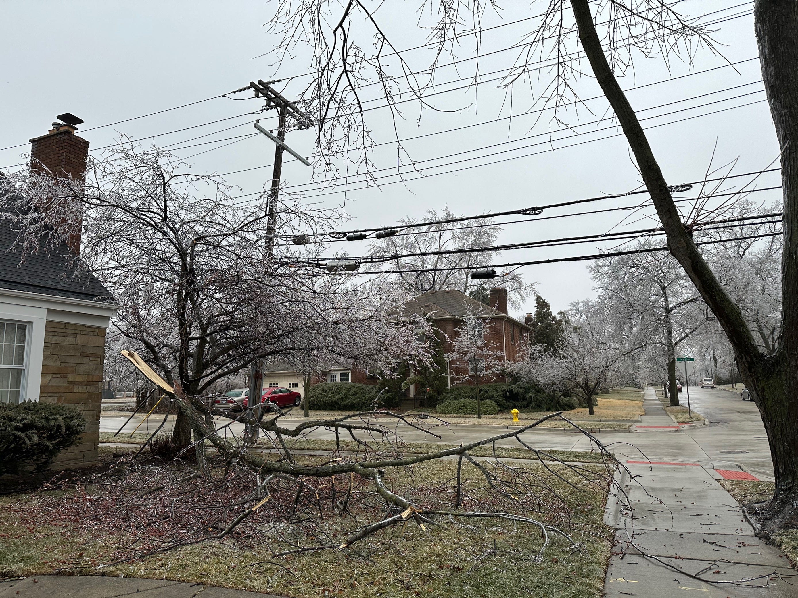 A downed tree branch created a mess in Dearborn after Wednesday's ice storm.
